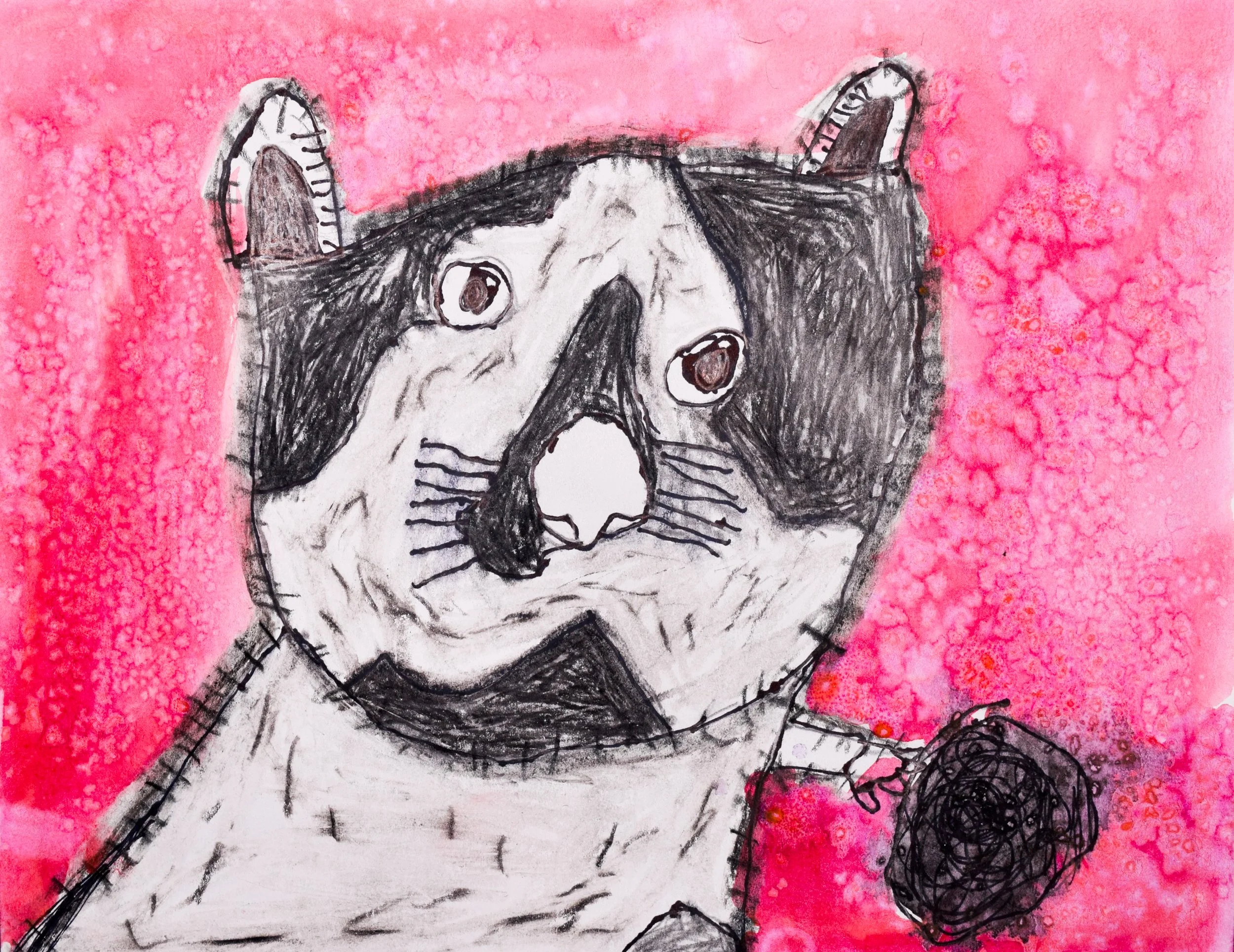 Cody N Hadaway-2.jpg