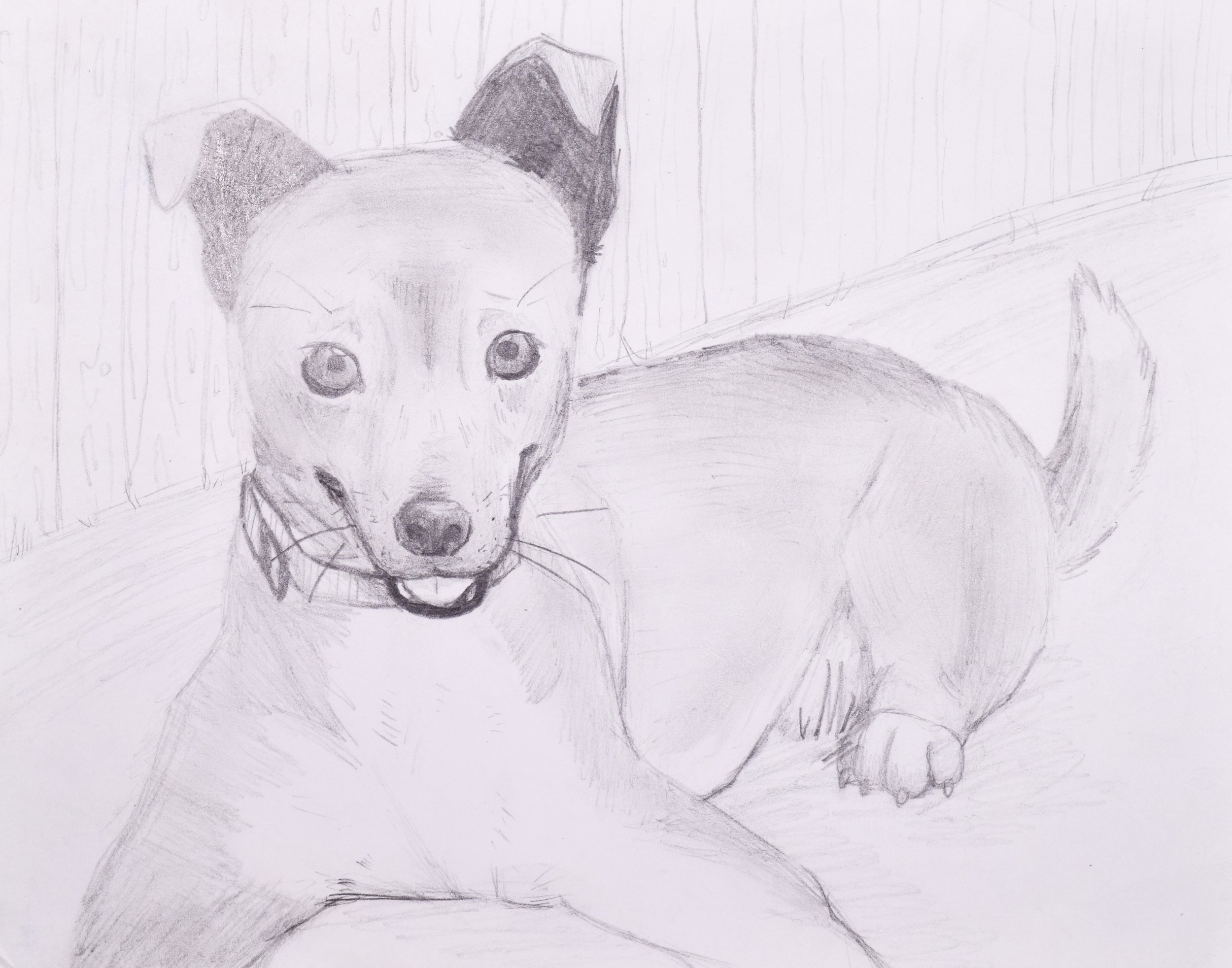 Tosiona D Price-2.jpg