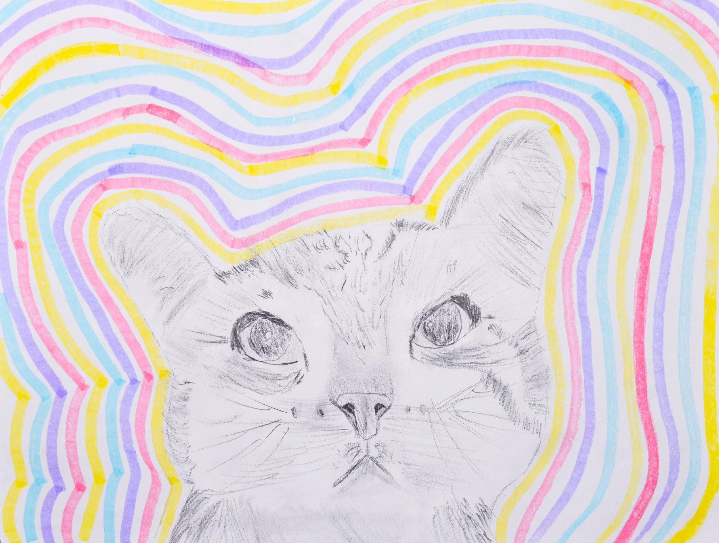 Cirine S Simpson-2.jpg