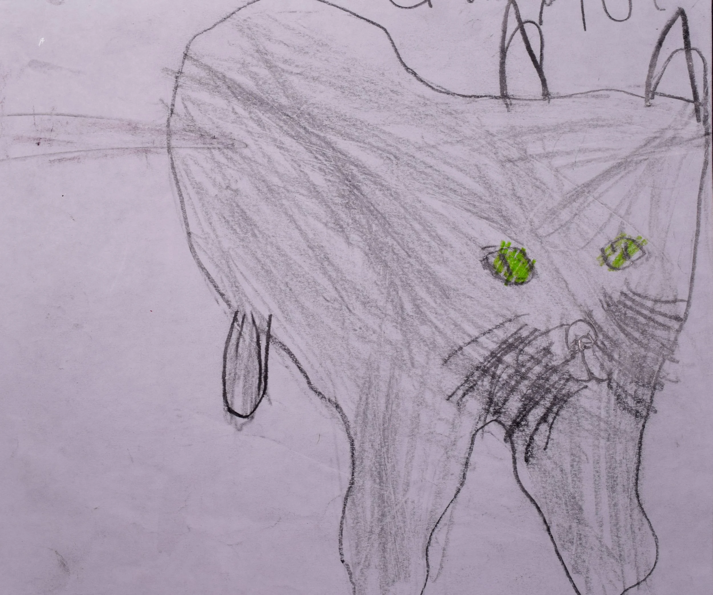 Taylor S Cathy-2.jpg