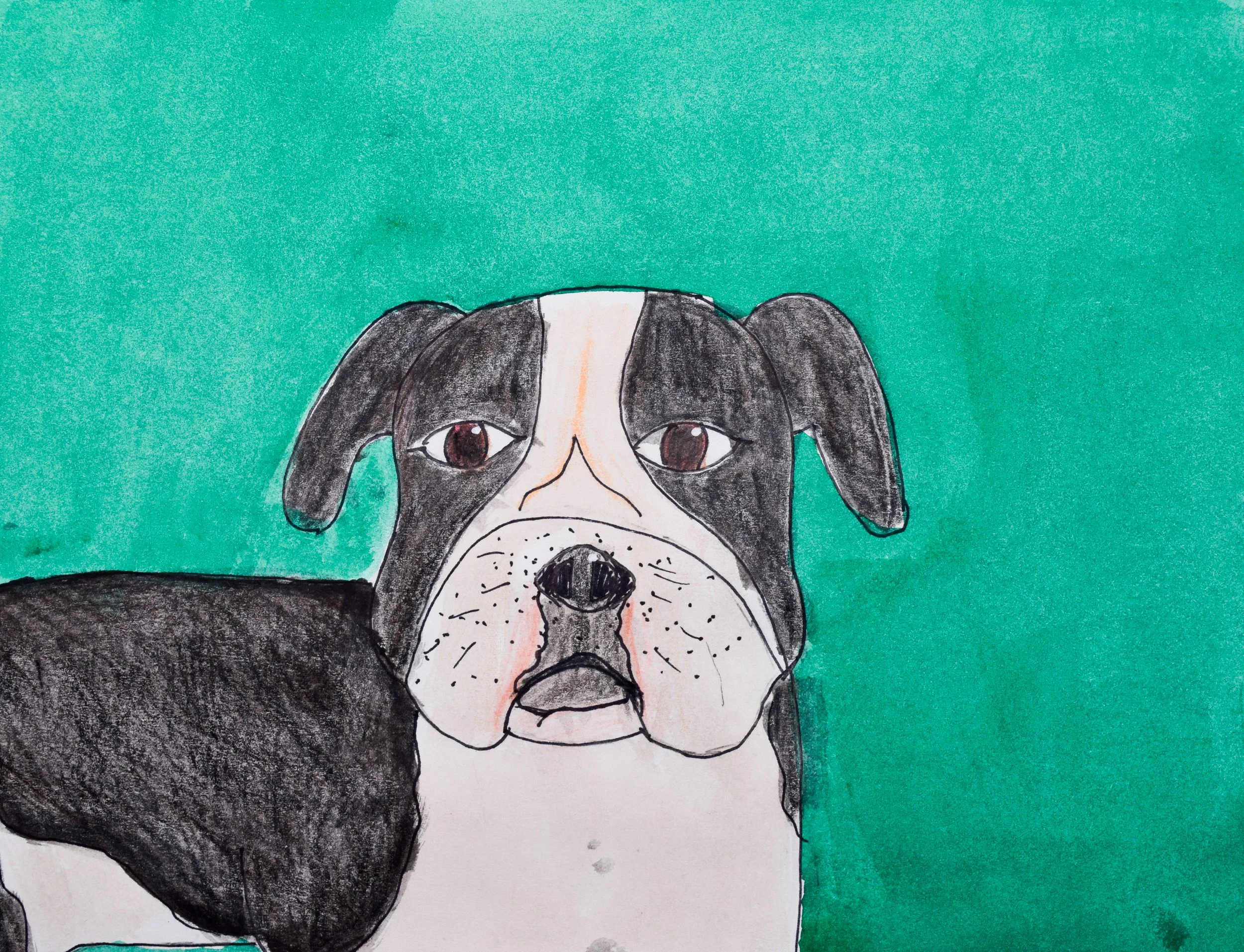 Hailey L Momenzadeh-2.jpg