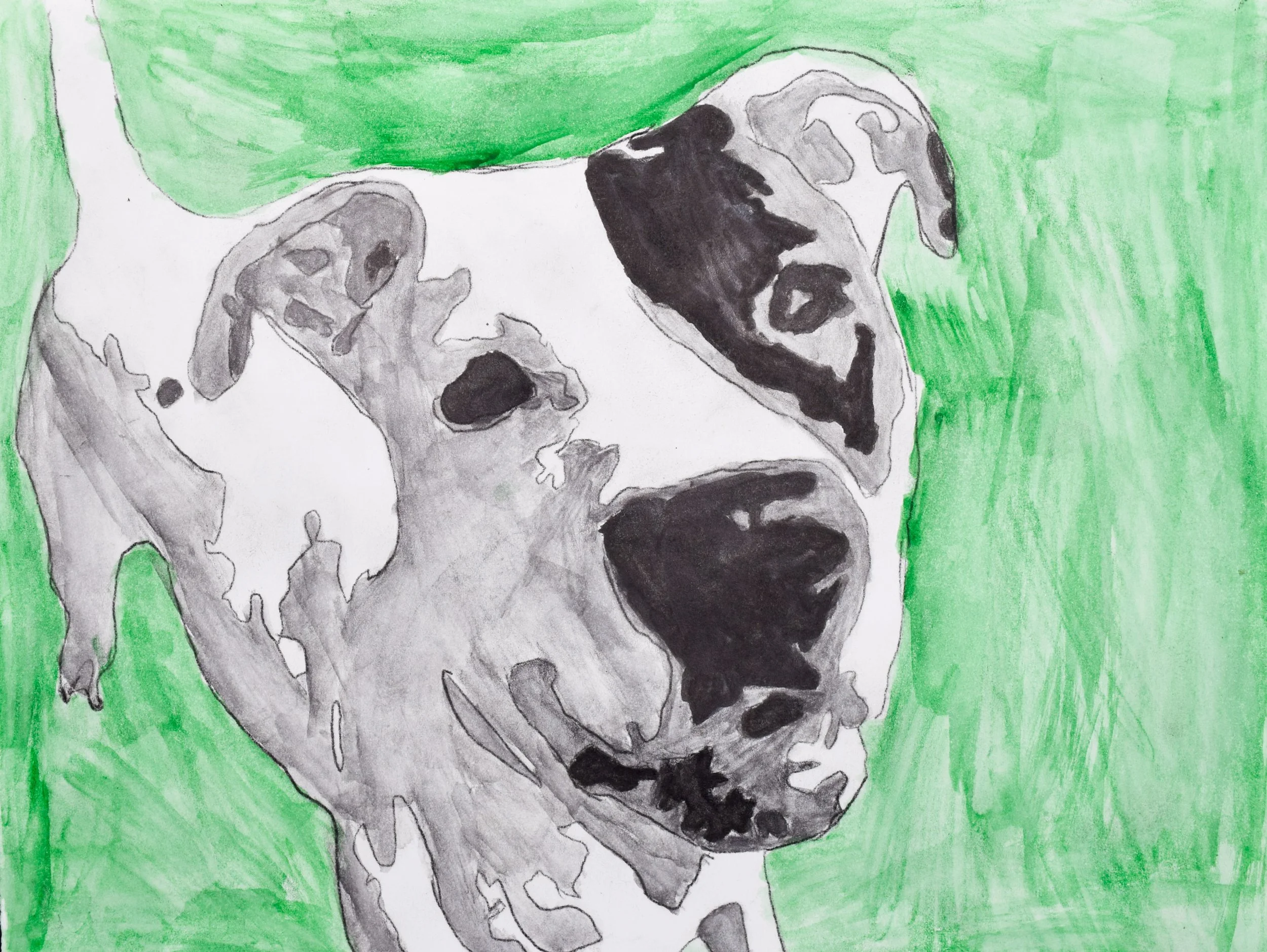 Ethan E Marchewka-2.jpg