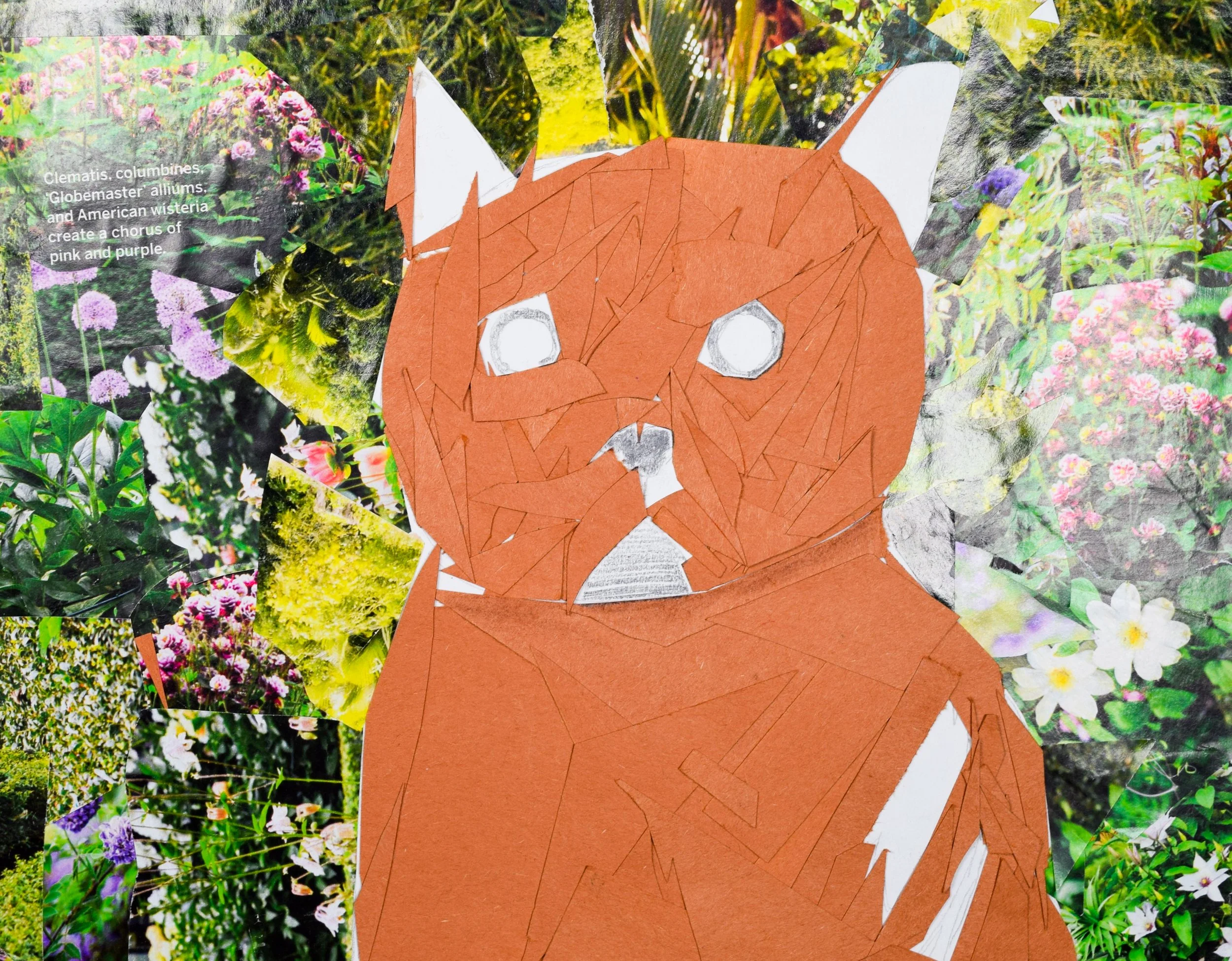 Kara T Schappel-2.jpg