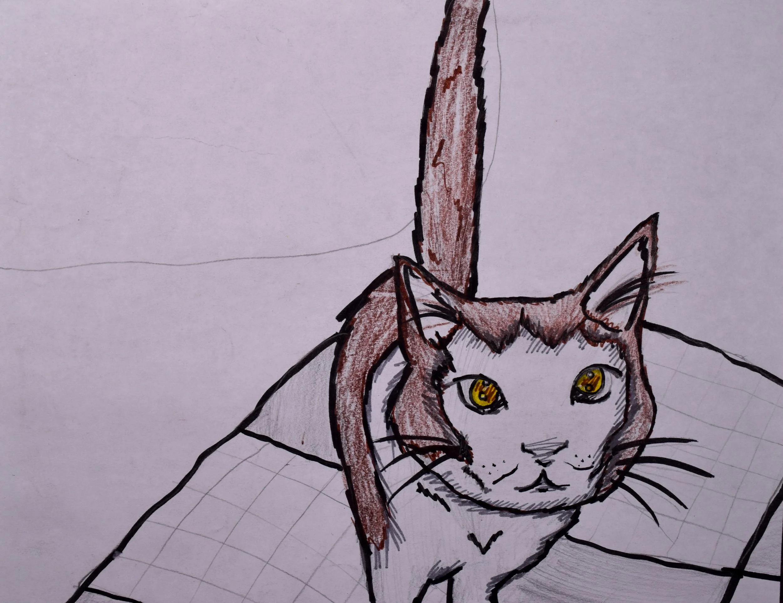 Kayla U.R. Cathy-2.jpg