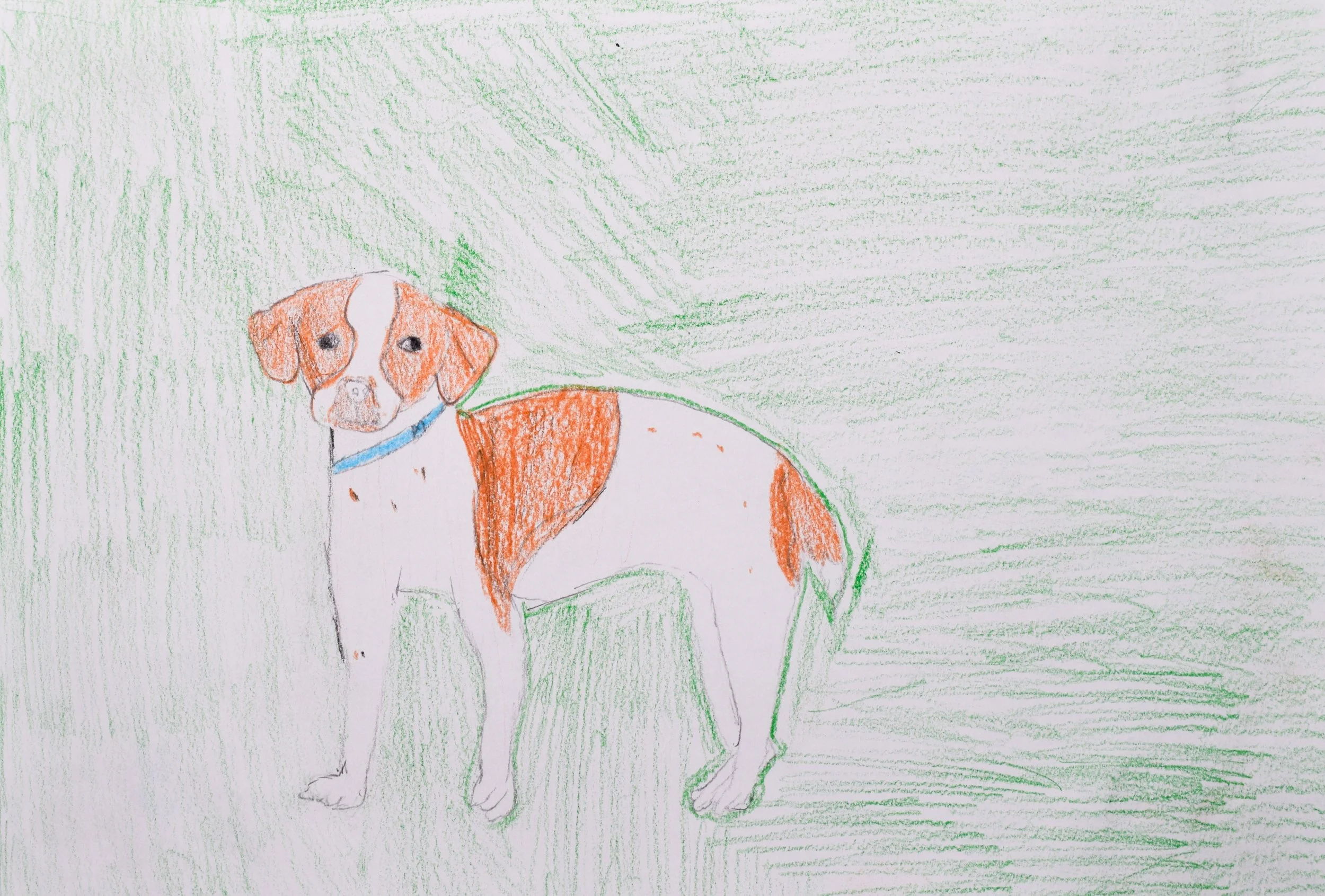 Mary Everly N Thompson-2.jpg