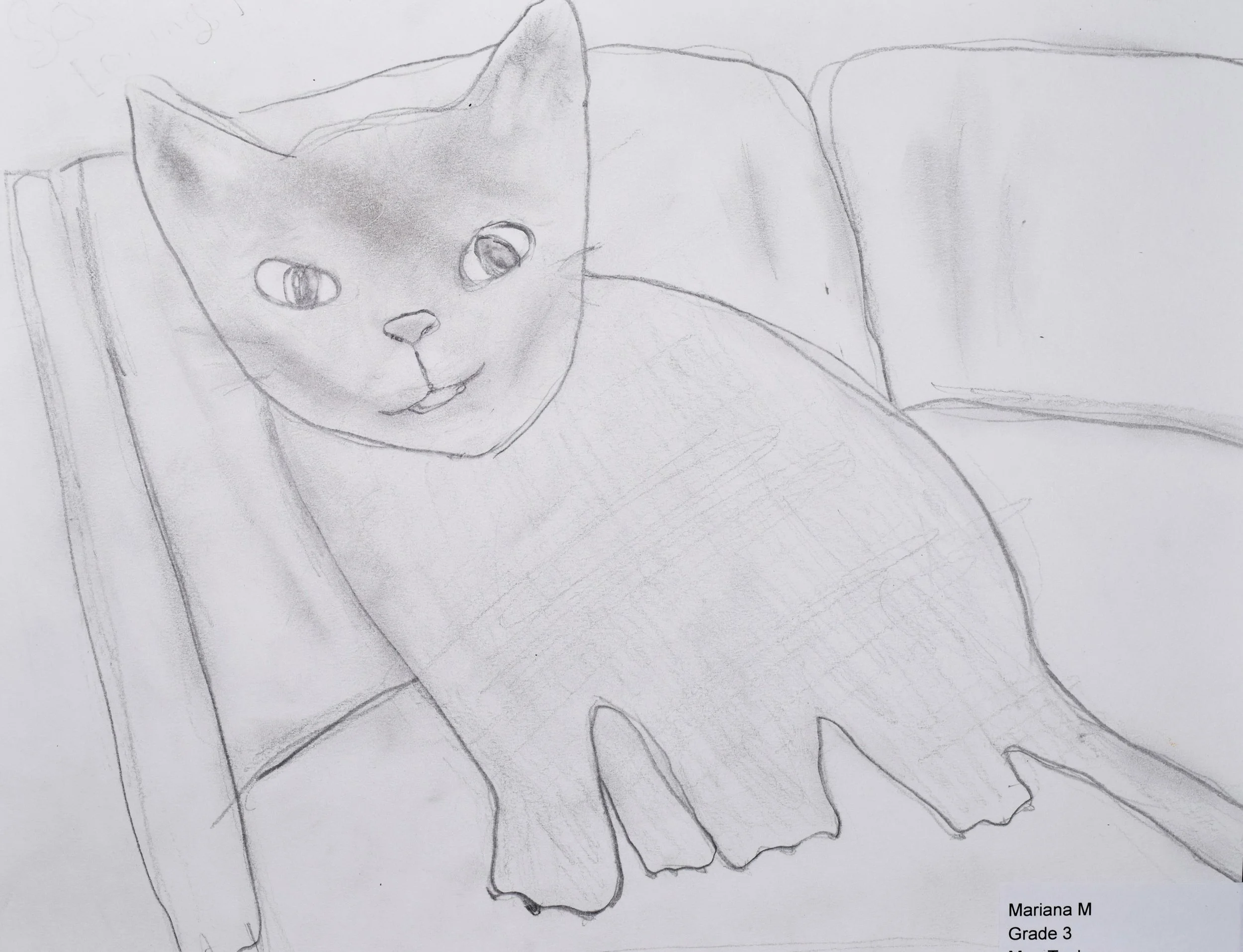 Mariana M Taylor-2.jpg