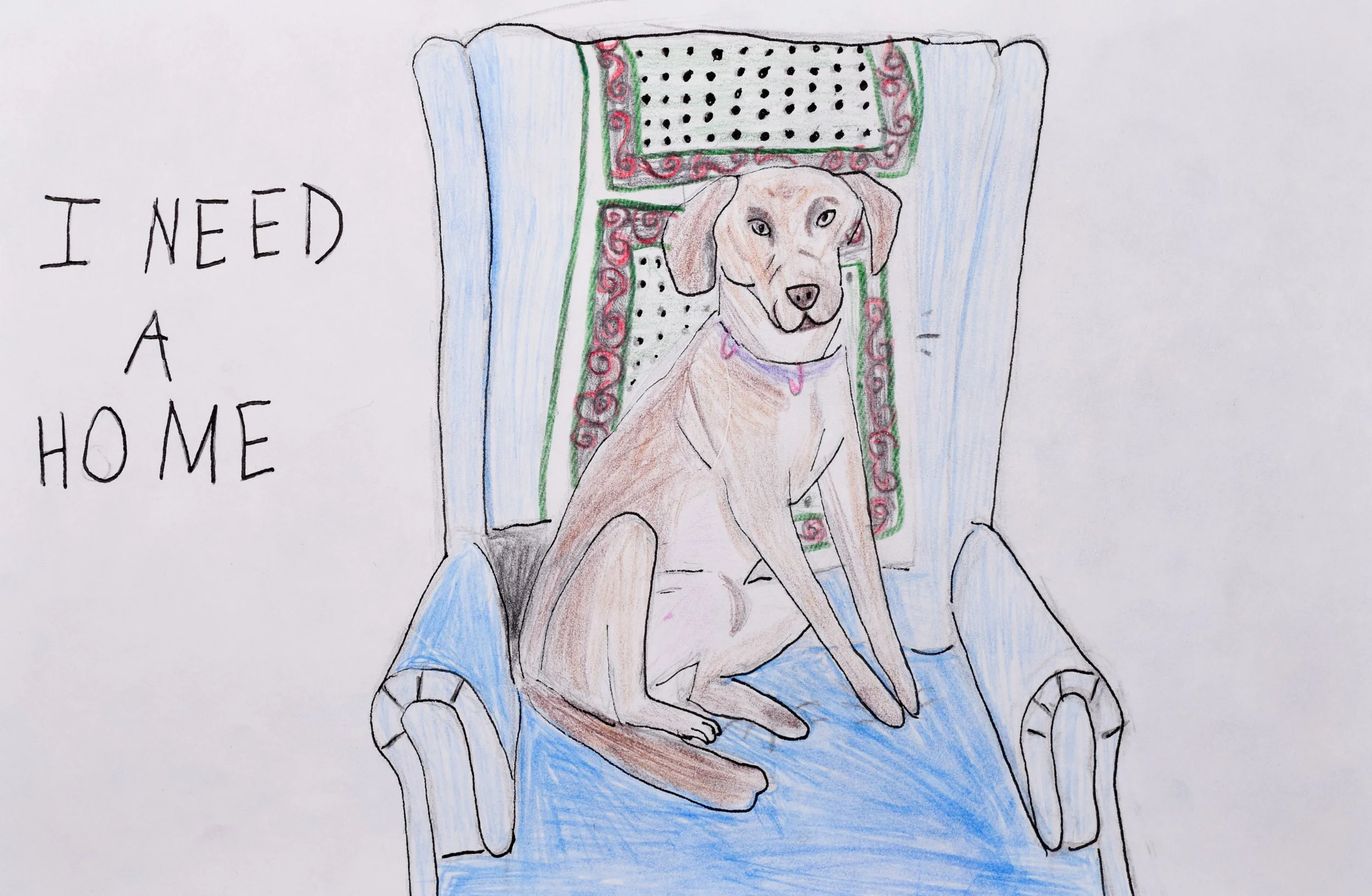 Beatrice B Yang-2.jpg