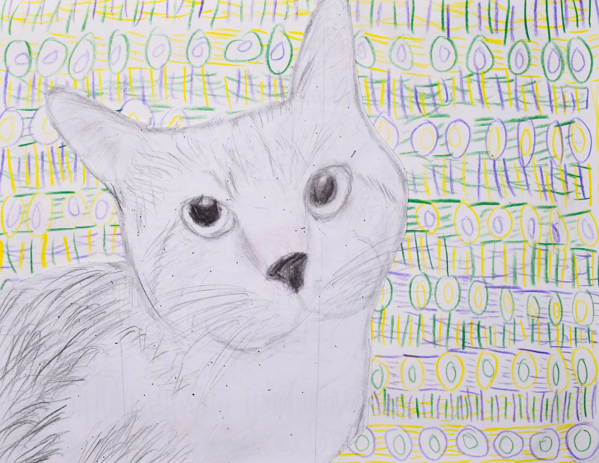 Mateo L Pavlovsky-2.jpg