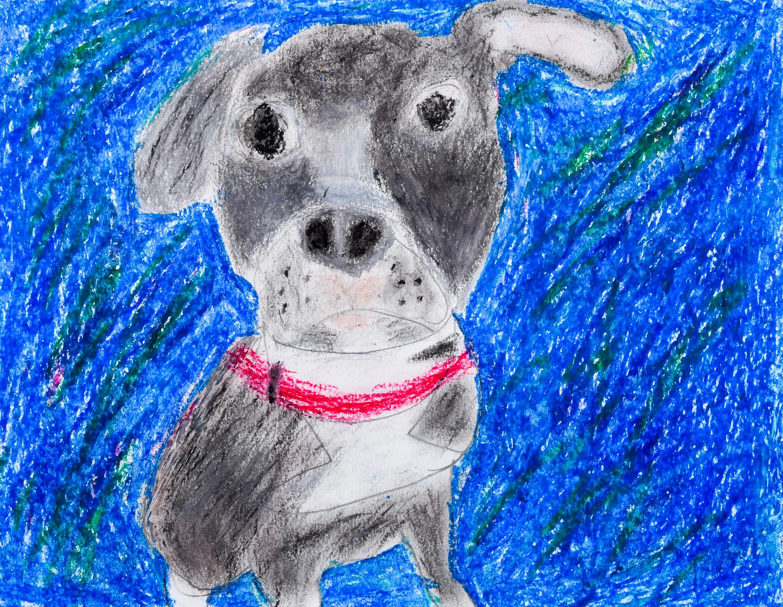 Harlee J Citrano-2.jpg