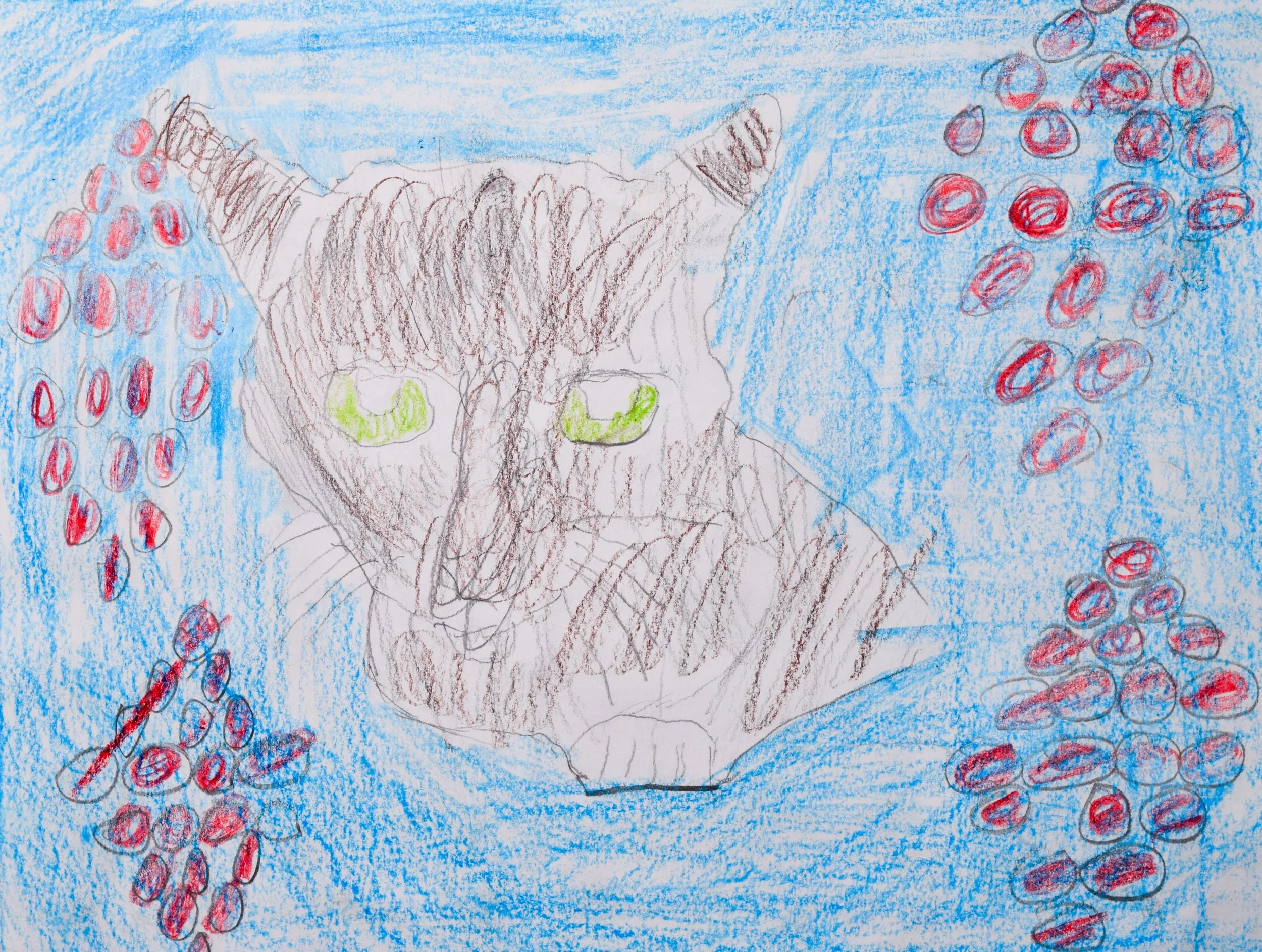 Elias J Graham-2.jpg