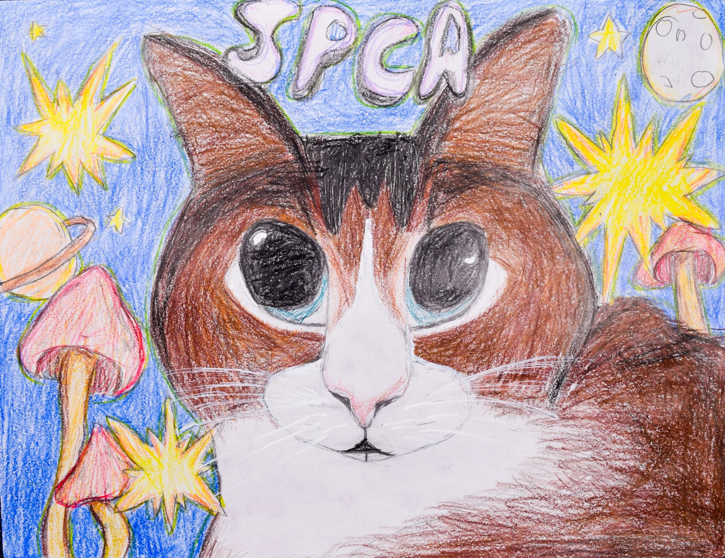 Sophia B Simpson-2.jpg