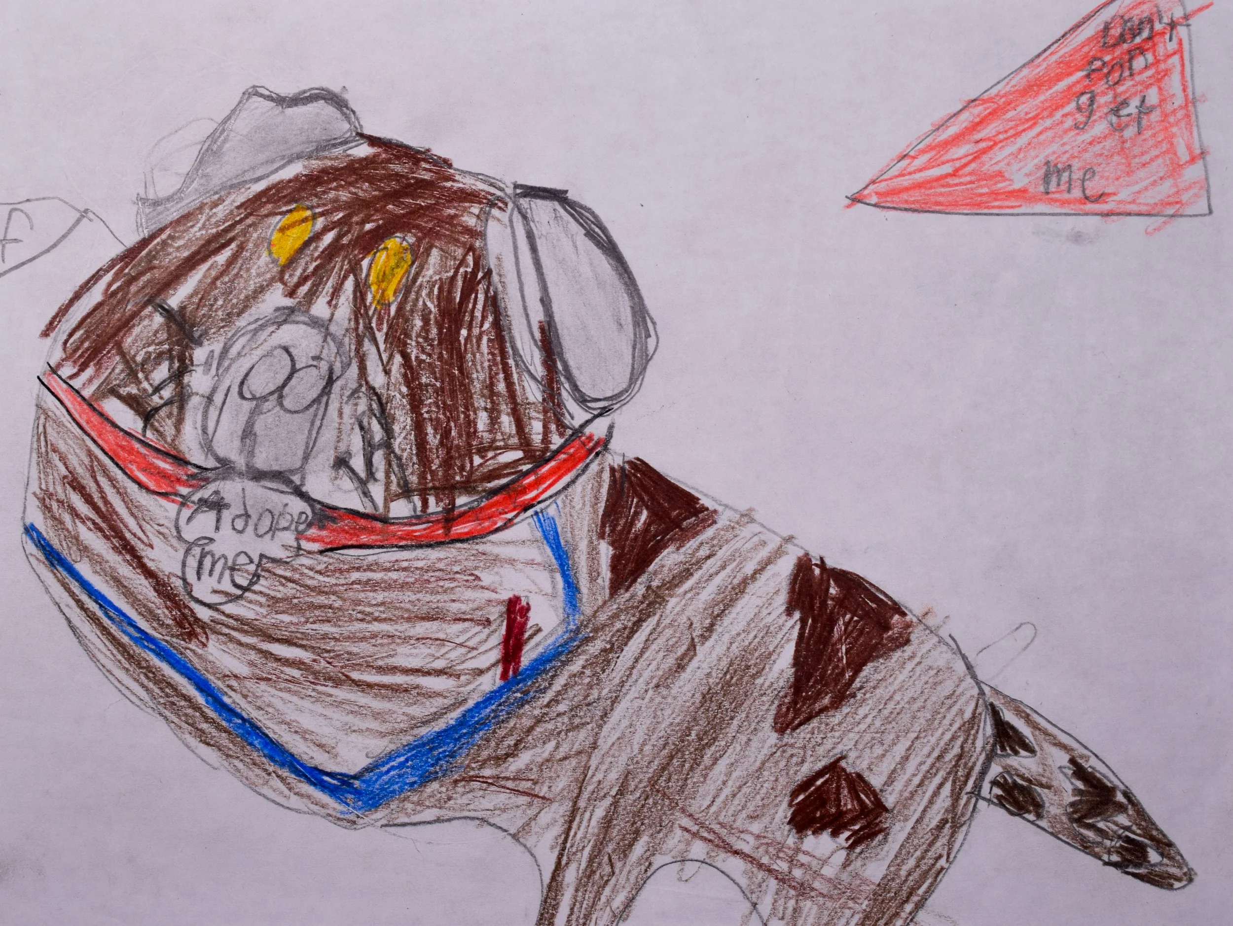 Dalaney S Cathy-2.jpg