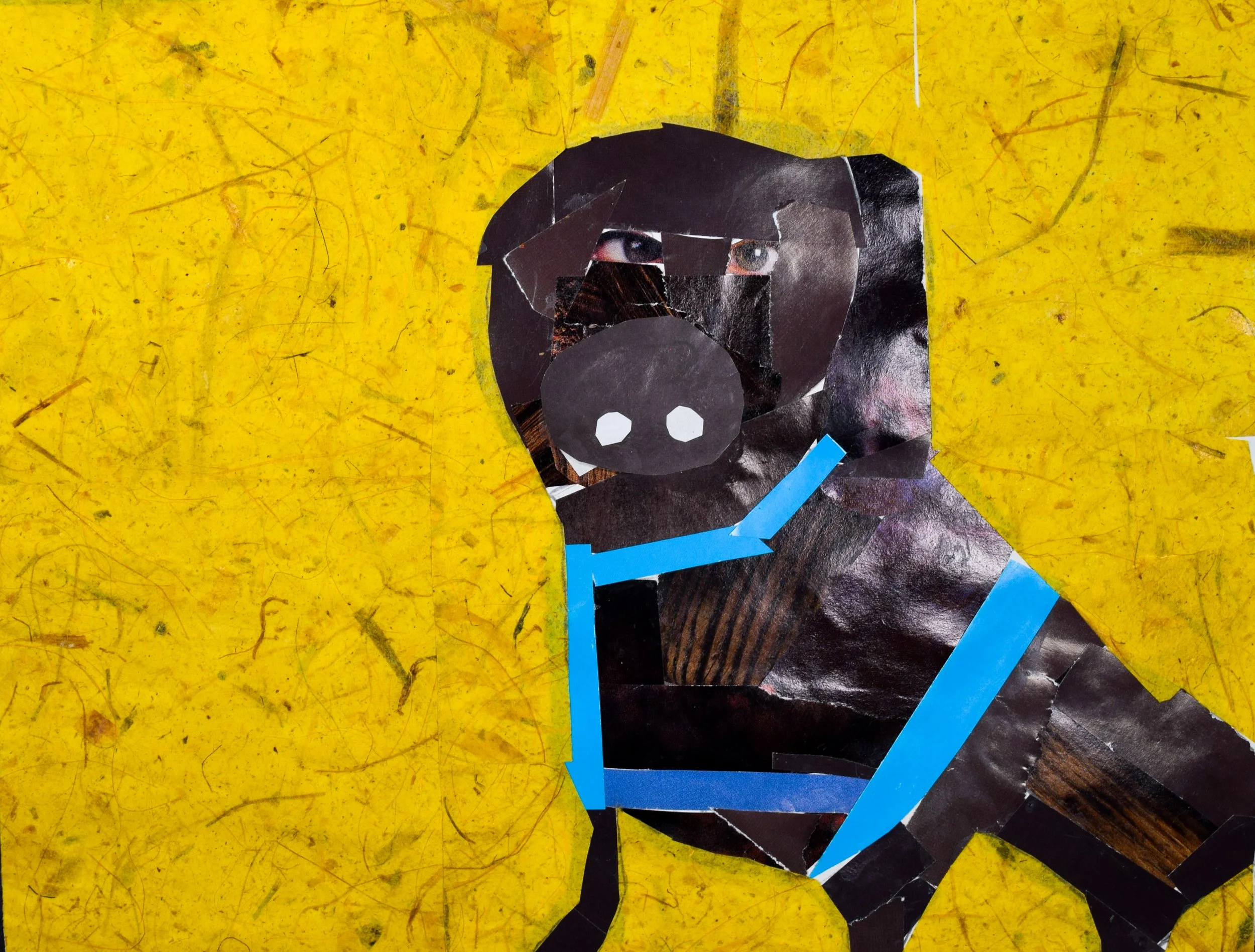 Sheppard S Smith-2.jpg