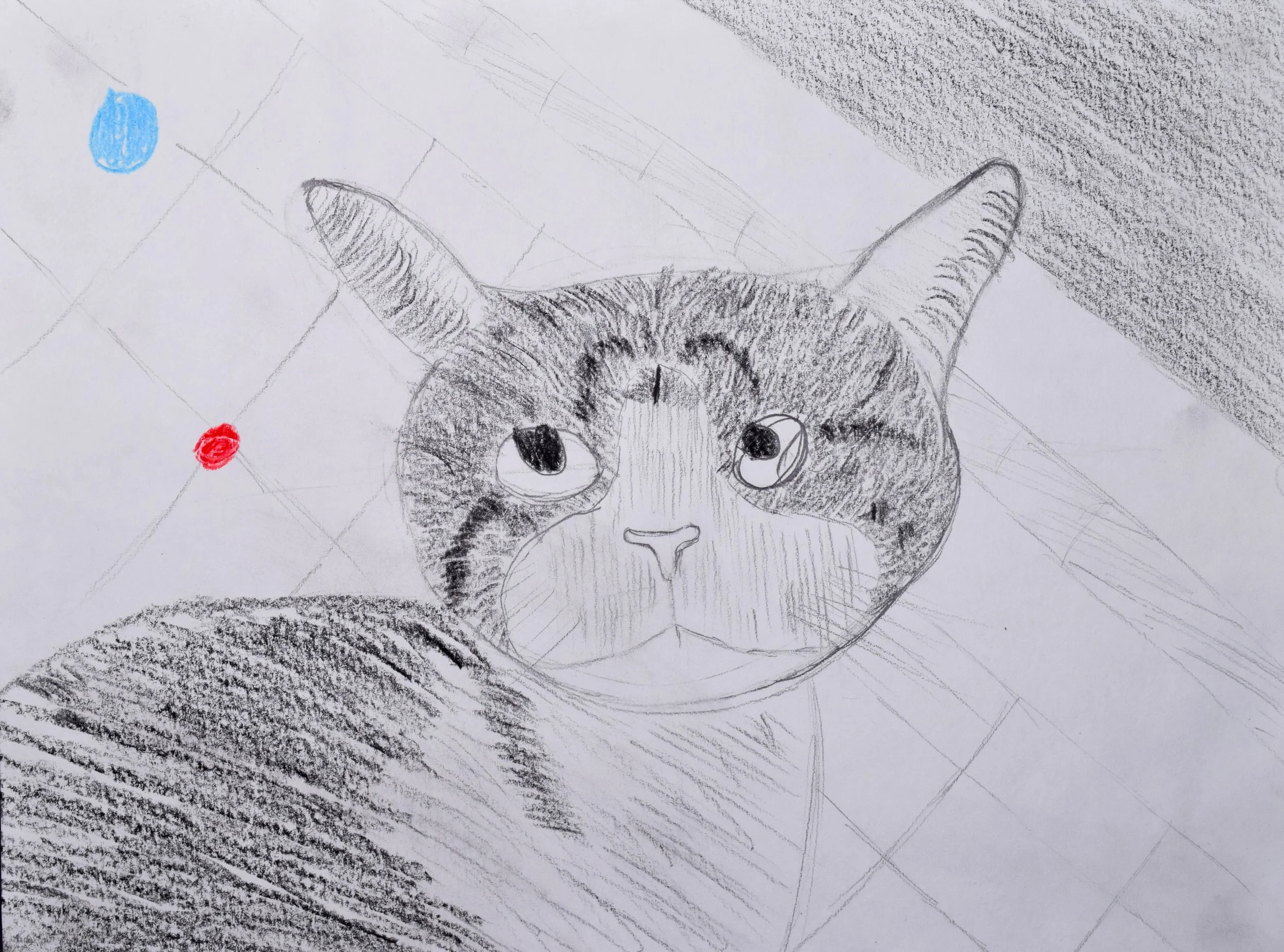 Braylen H Graham-2.jpg