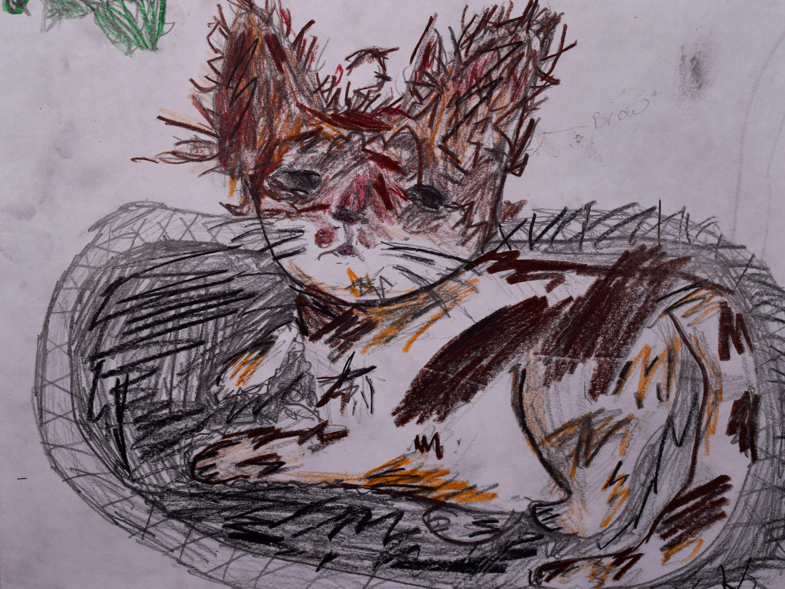 Braylee C Cathy-2.jpg