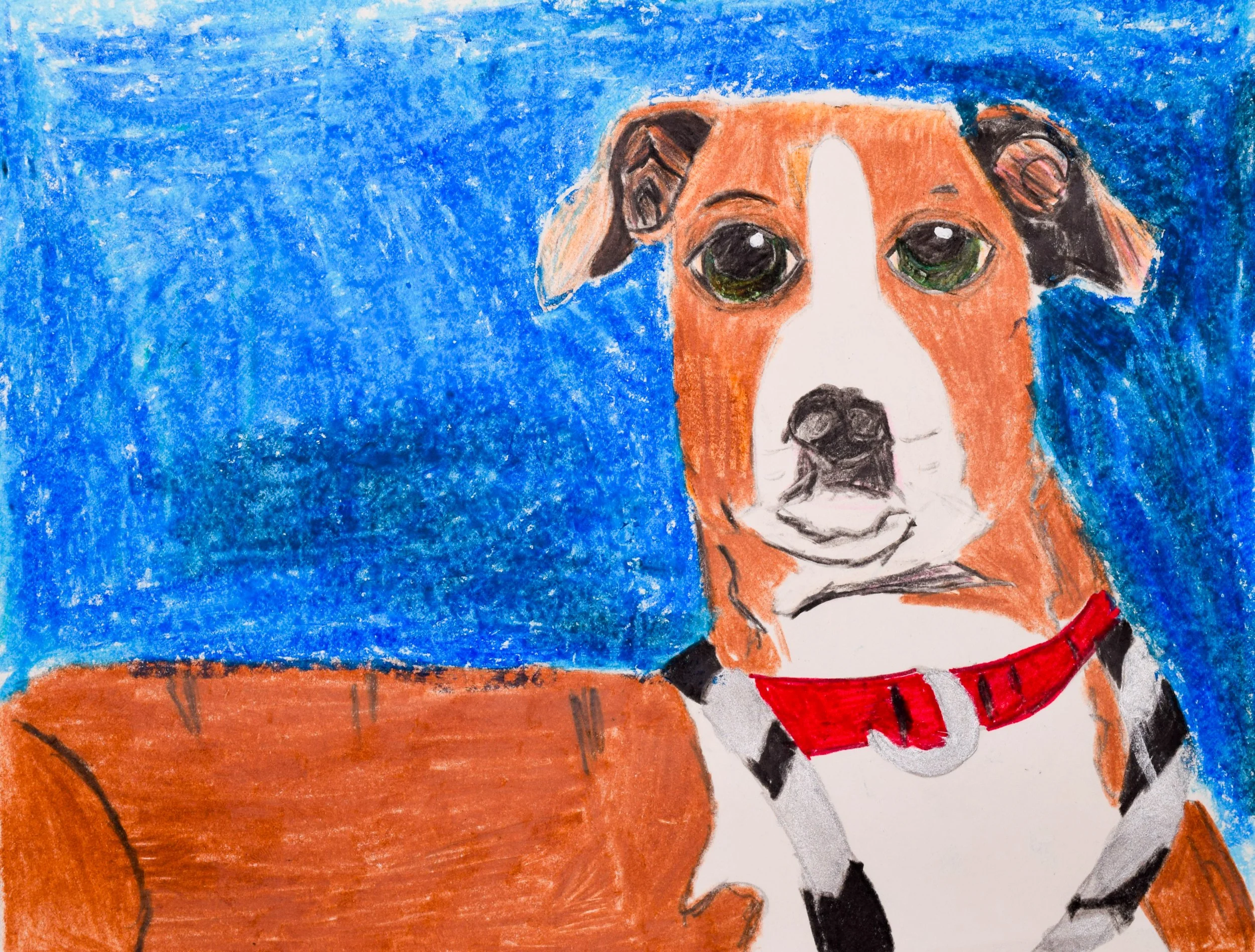 Harper G Momenzadeh-2.jpg