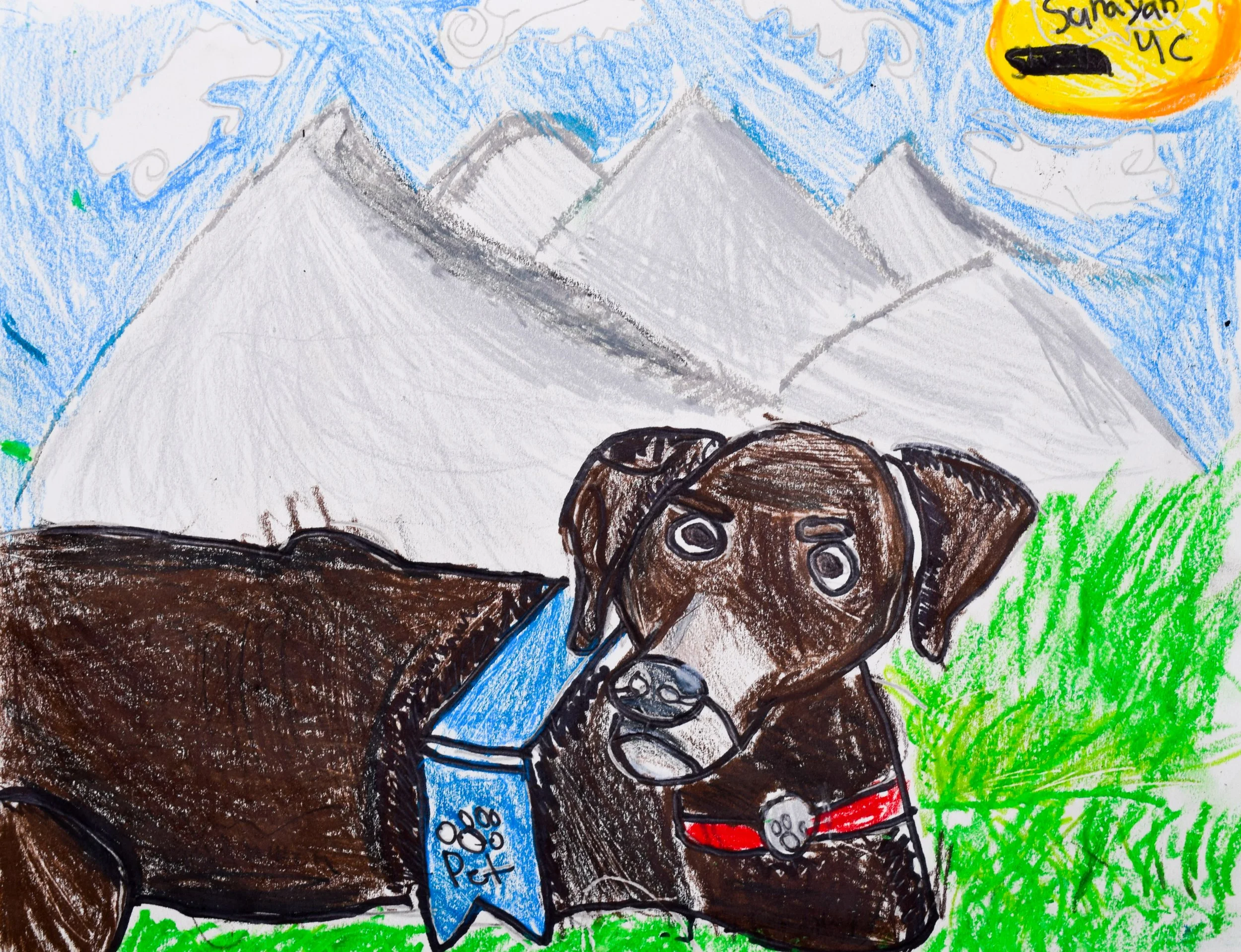 Sunayan S Towner-2.jpg