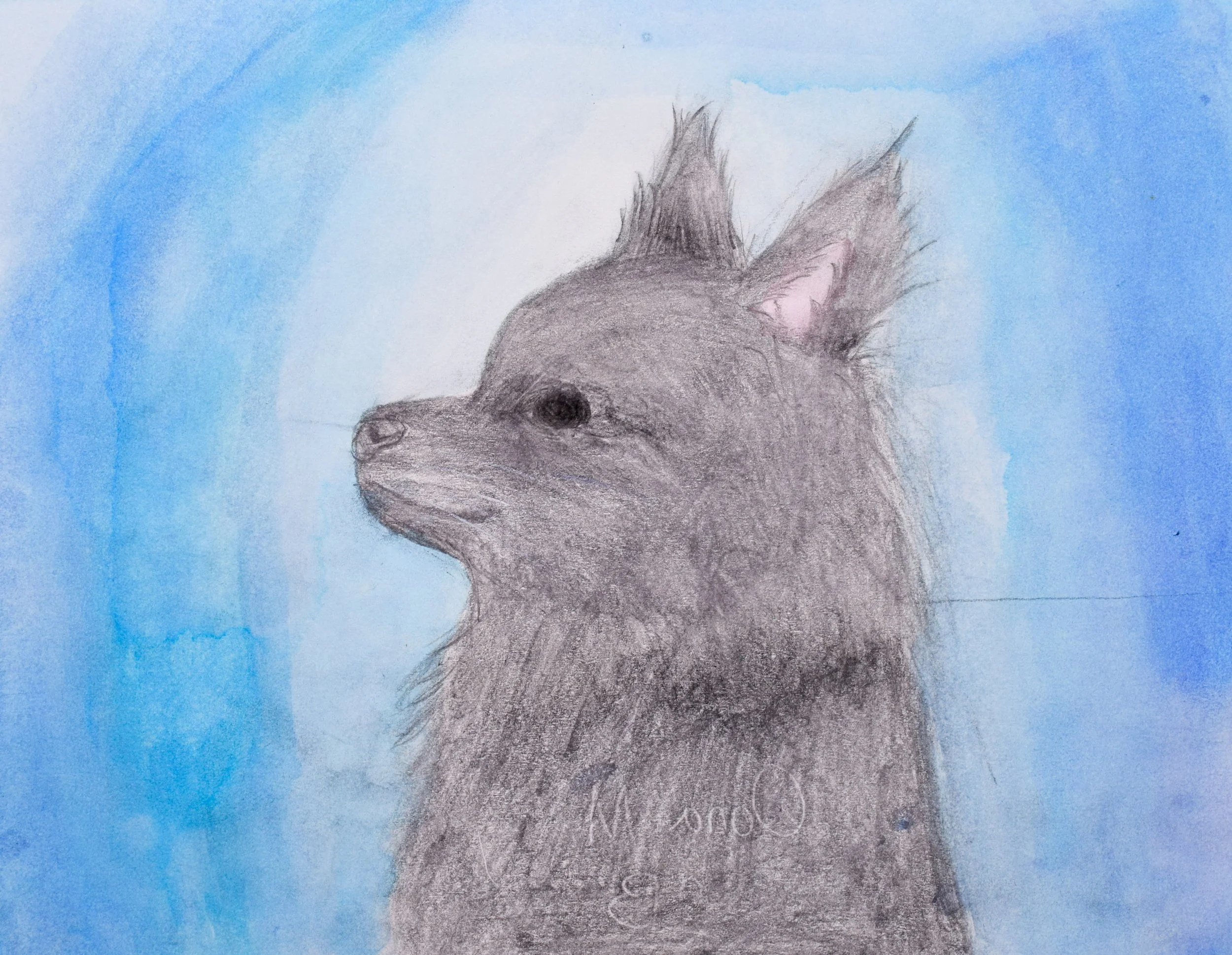 Oona M Momenzadeh-2.jpg