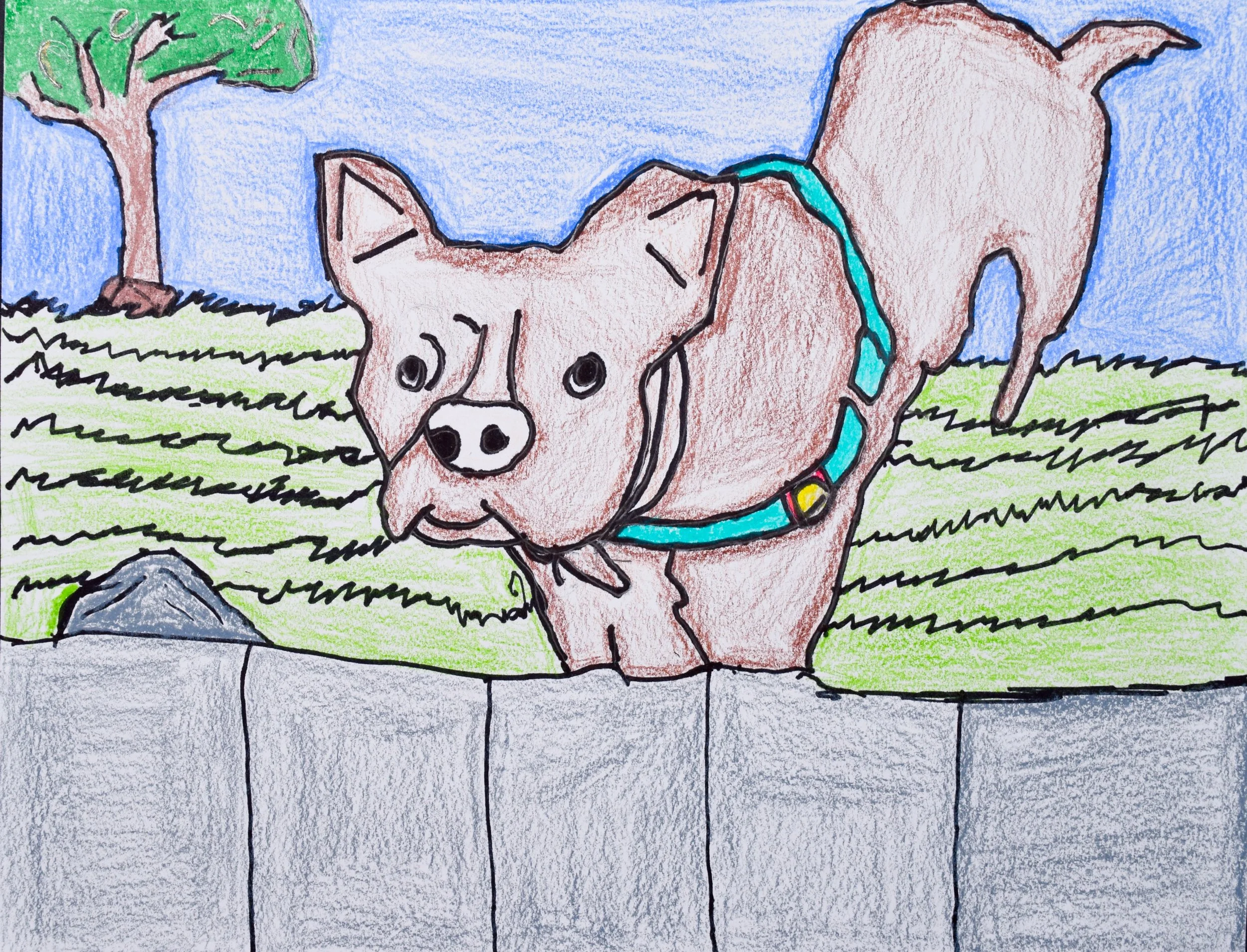 Carlton C Liberto-2.jpg