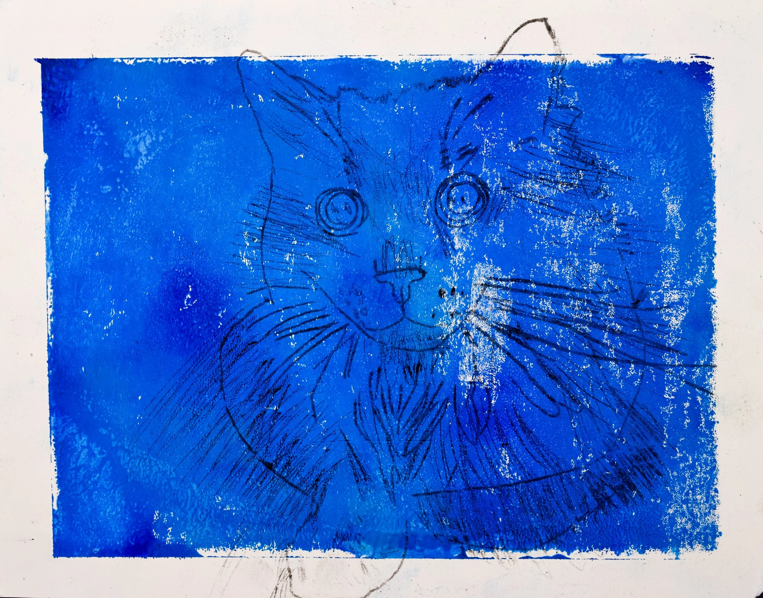 Evie M Paszkiewicz-2.jpg