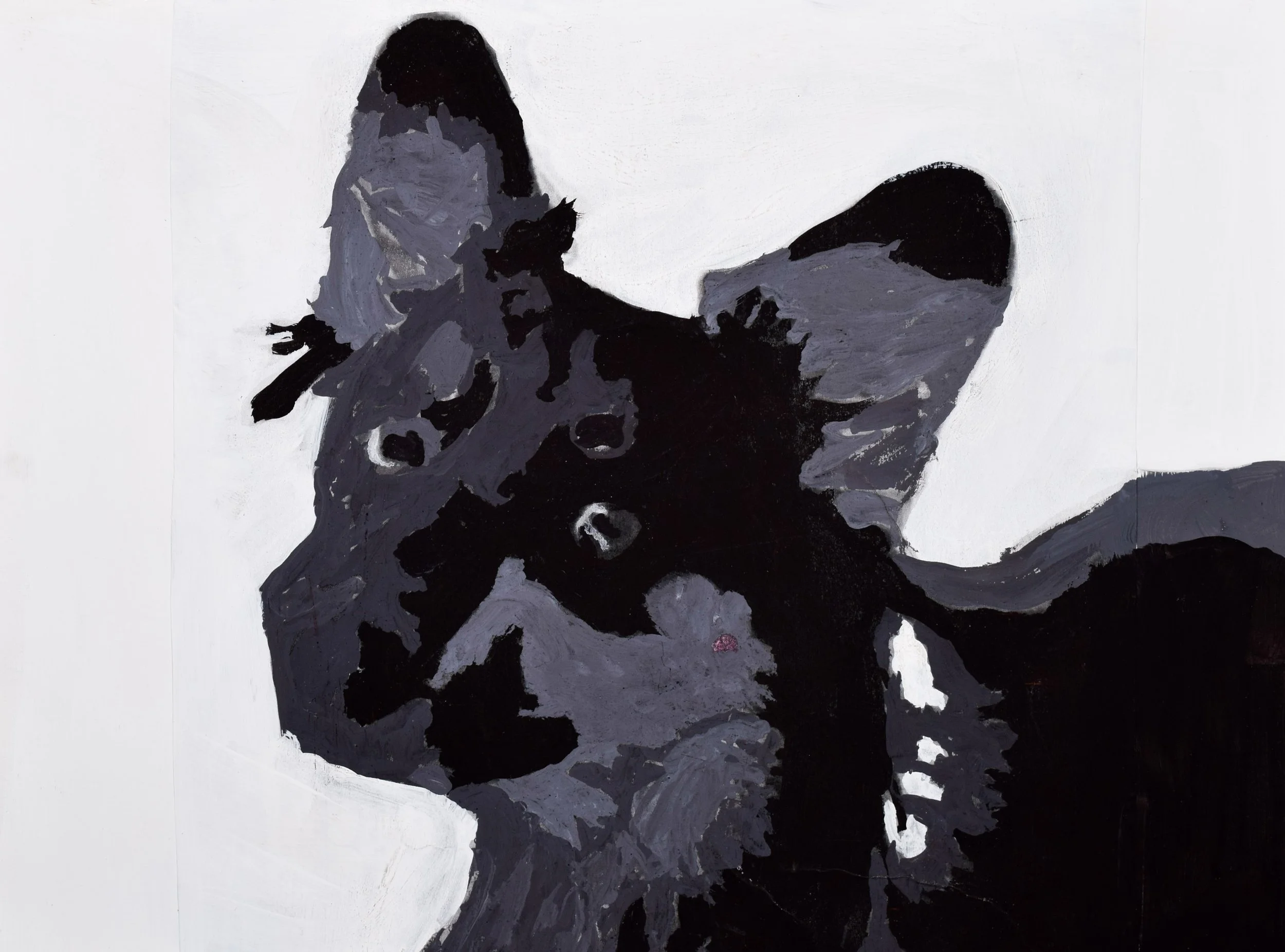 Jeyling S-V Marchewka-2.jpg