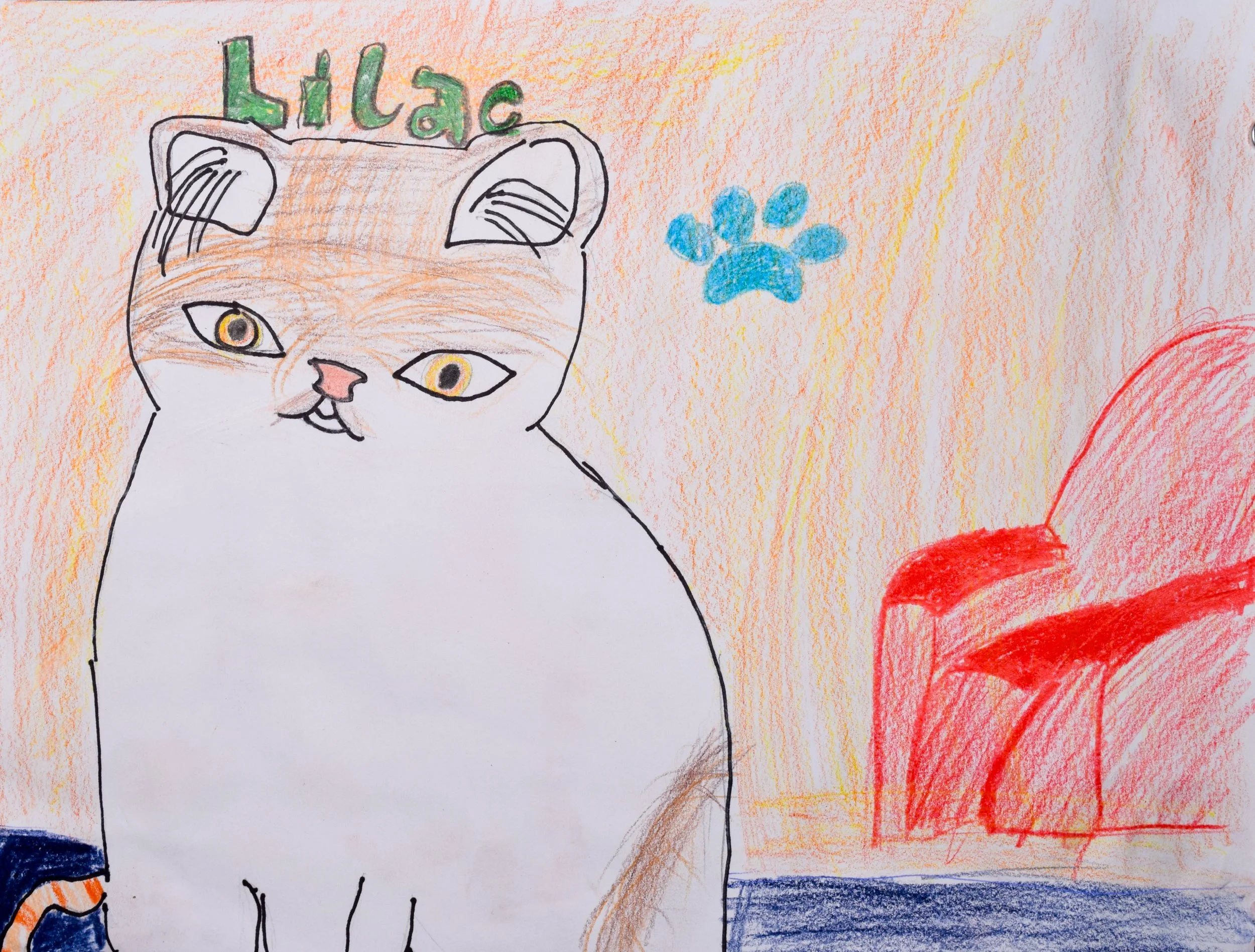 Tajah J Graham-2.jpg