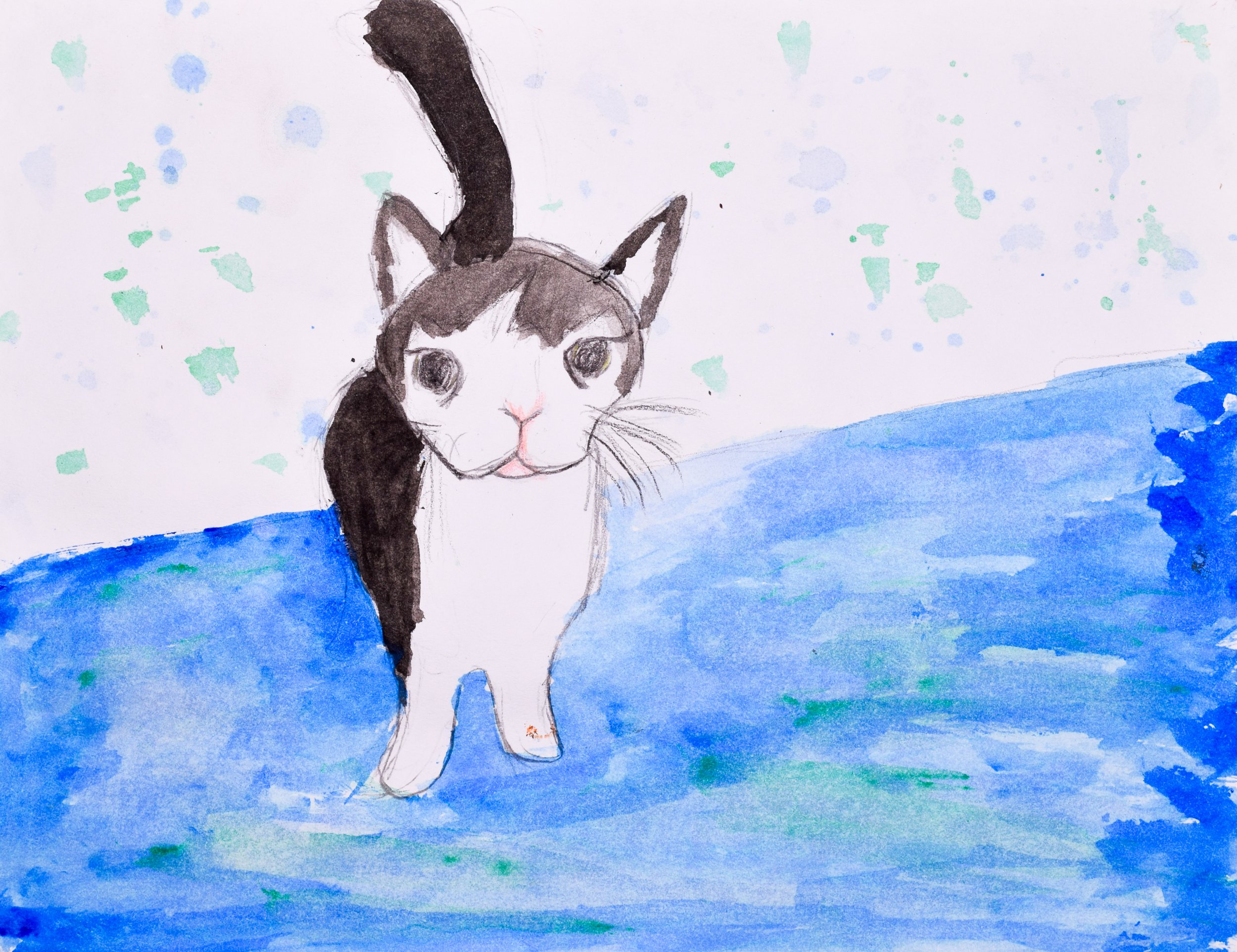 Maddie C Mesaros-2.jpg