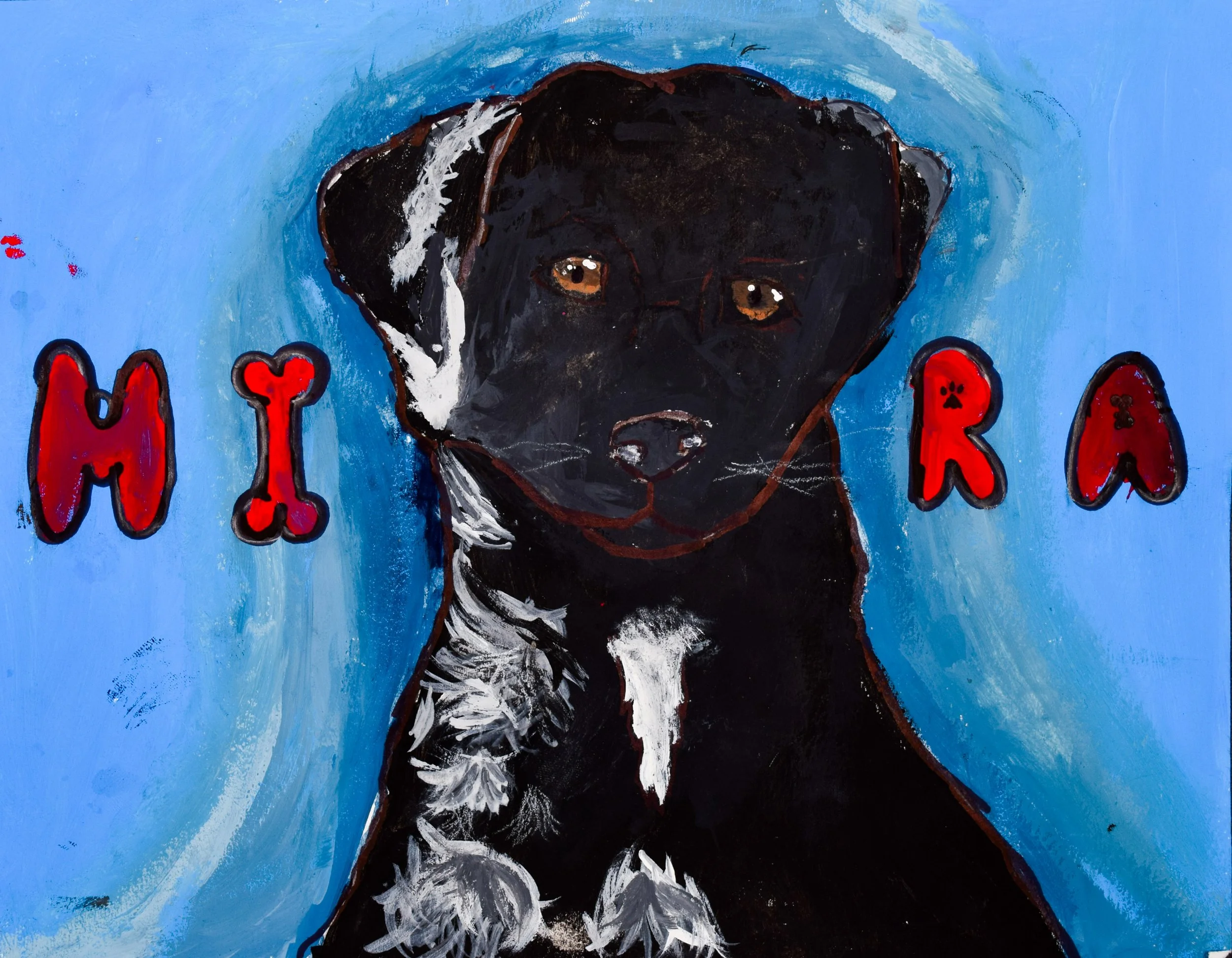 Brijesh K Schappel-2.jpg