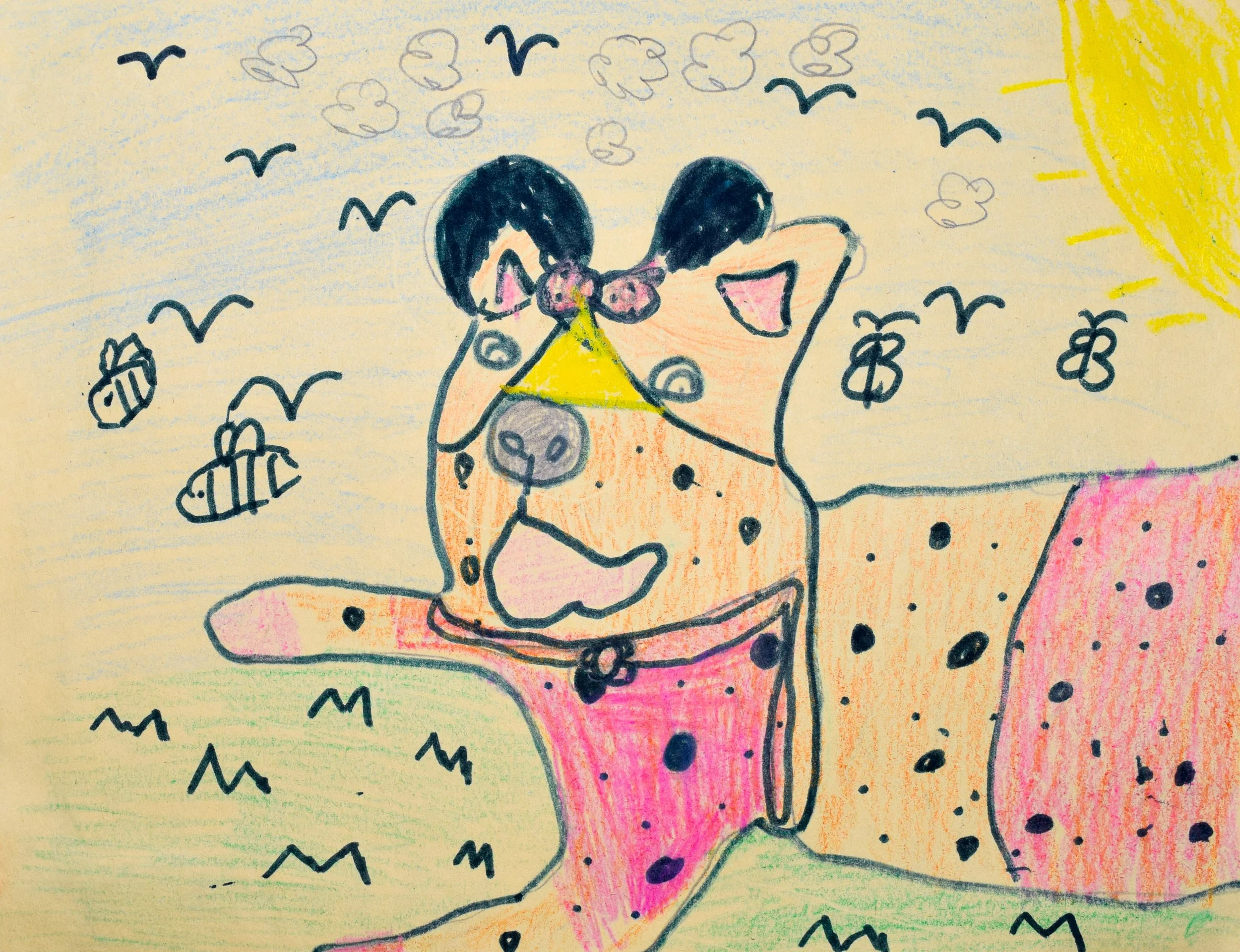 Taylor T Castro-2.jpg