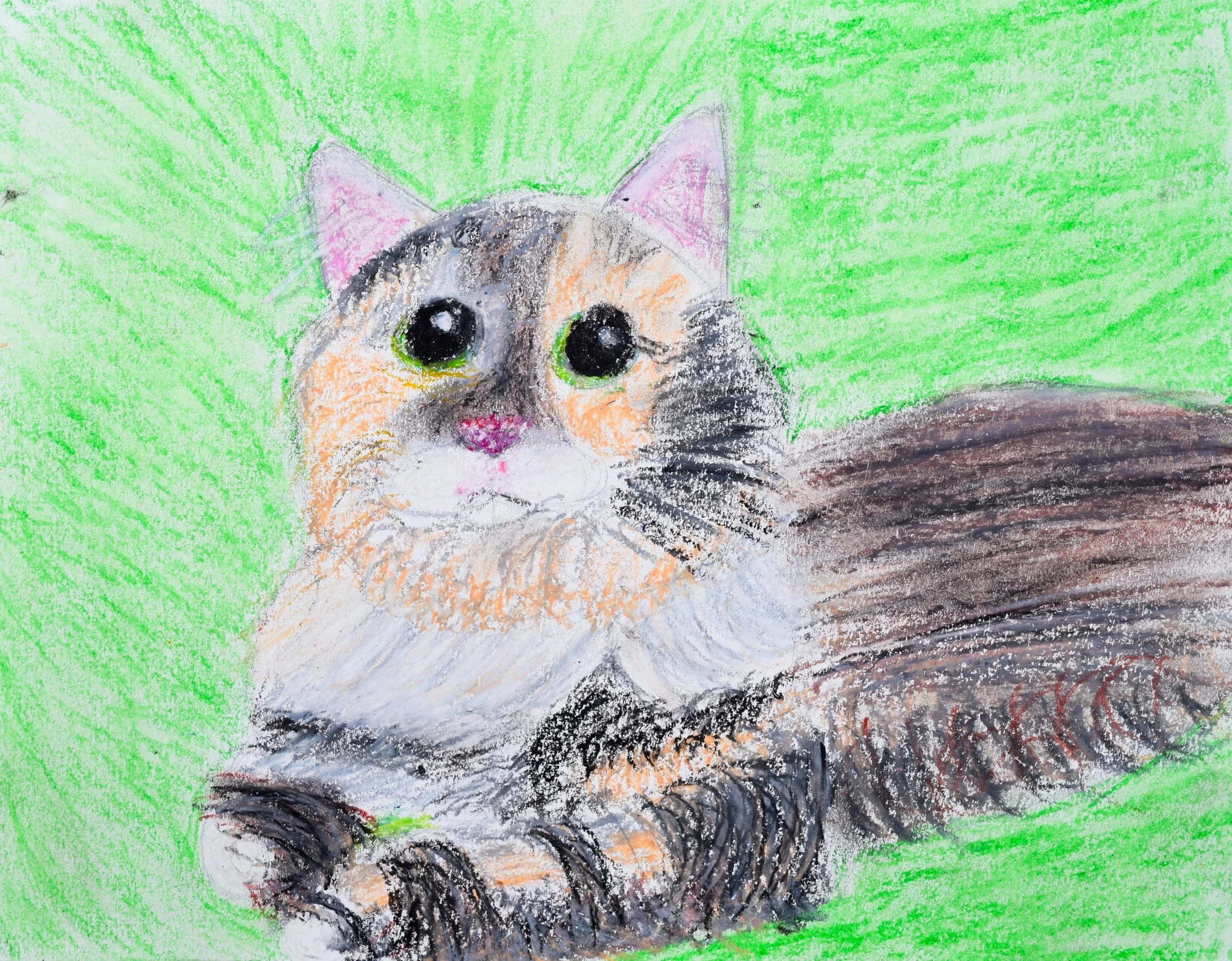 Evelyn W Citrano-2.jpg