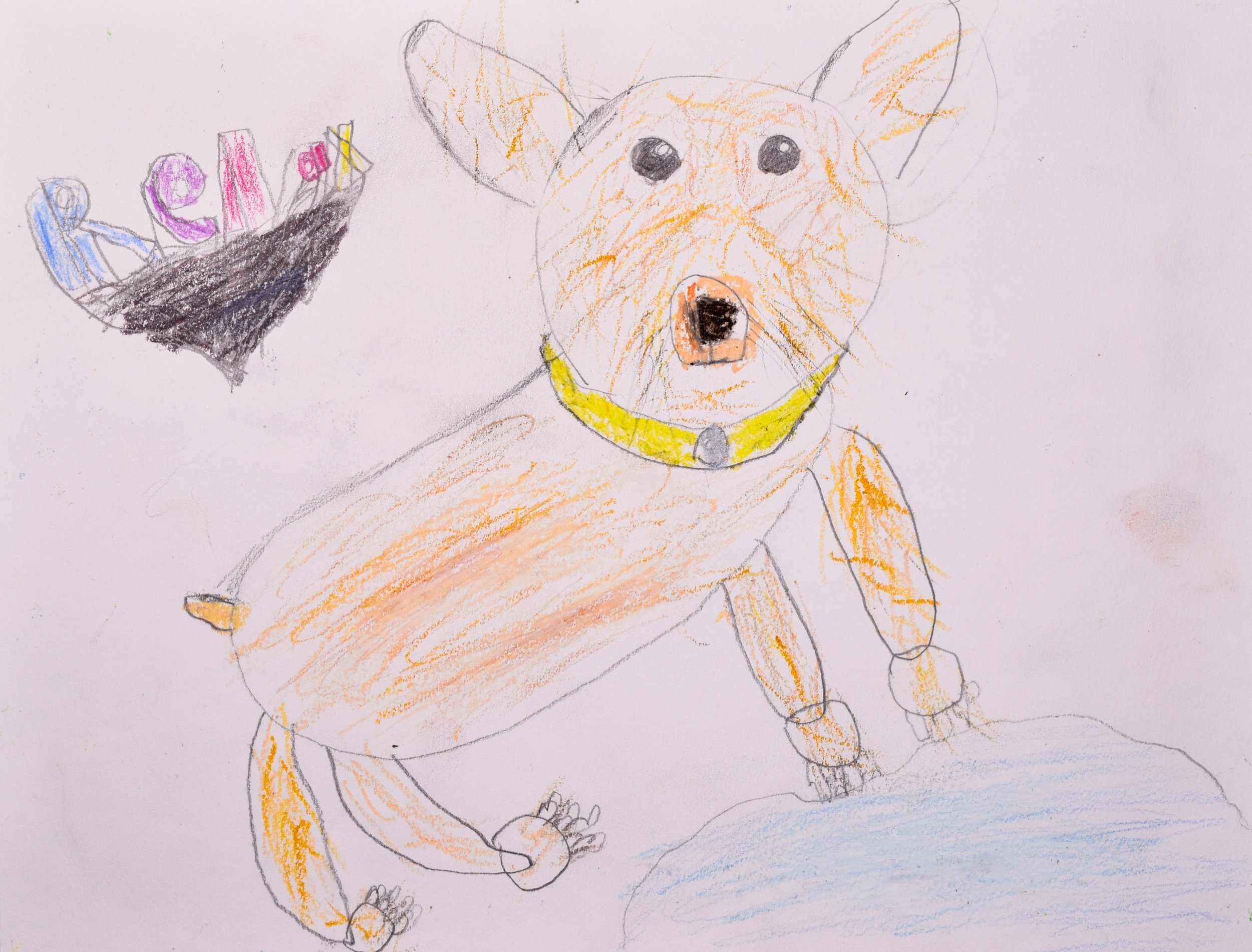 Daniel C Boyle-2.jpg