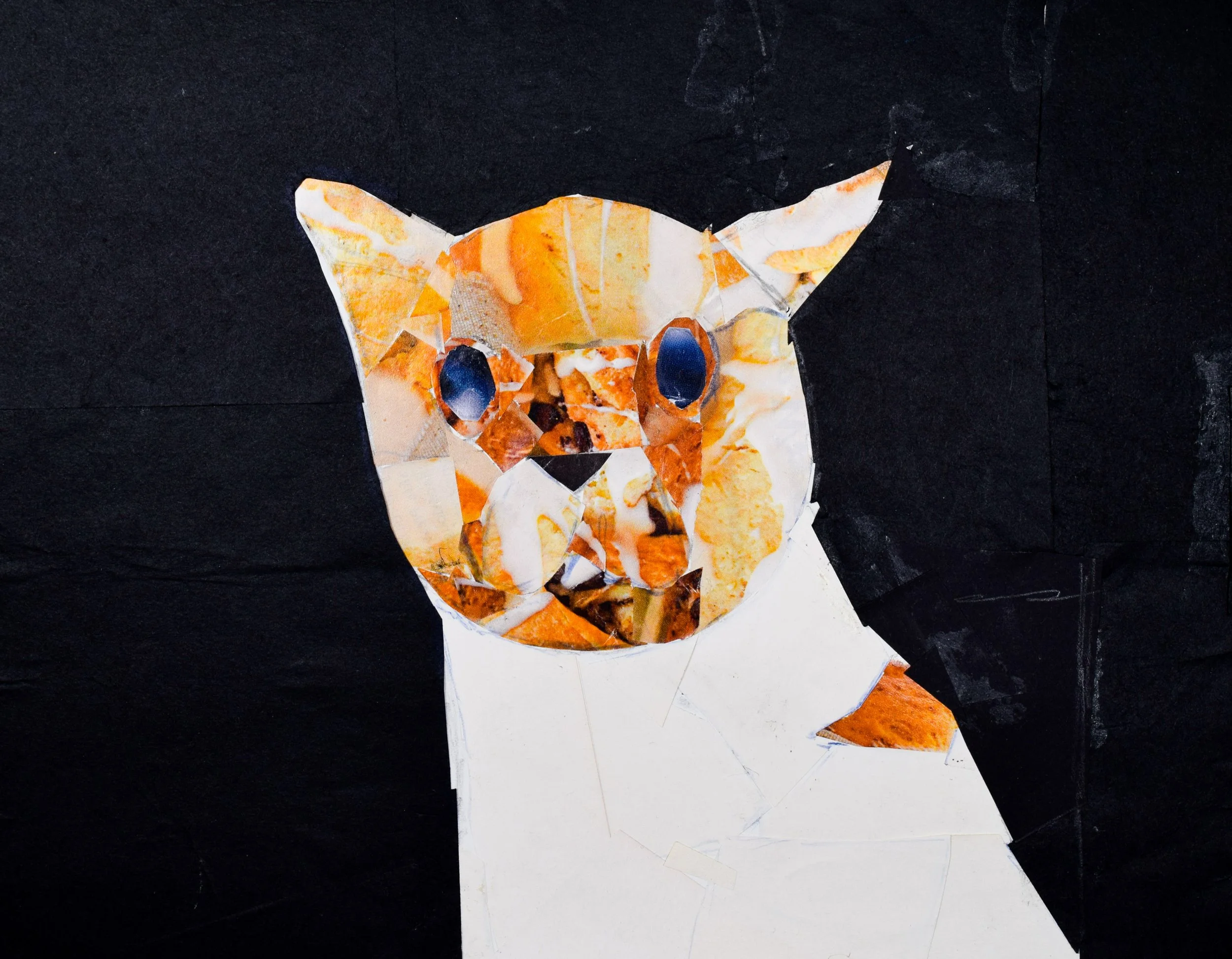 Adarsha K Smith-2.jpg