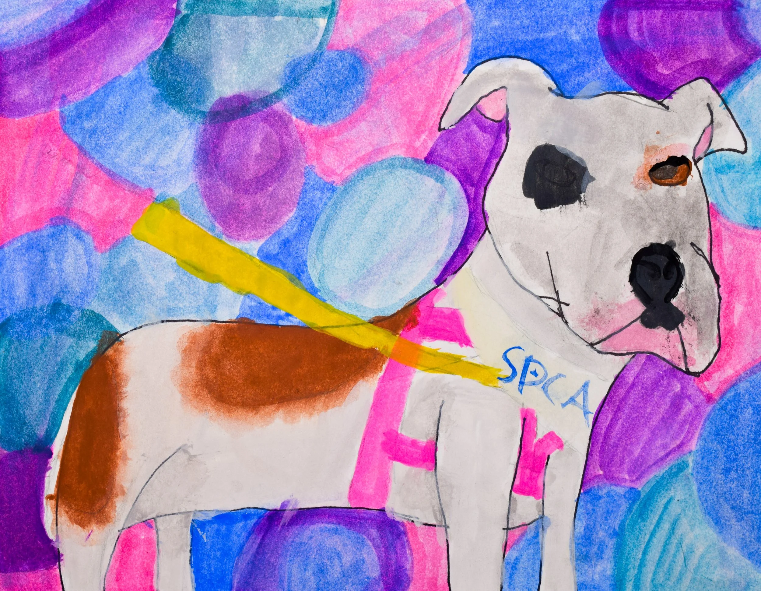 Camryn M Widmayer-2.jpg