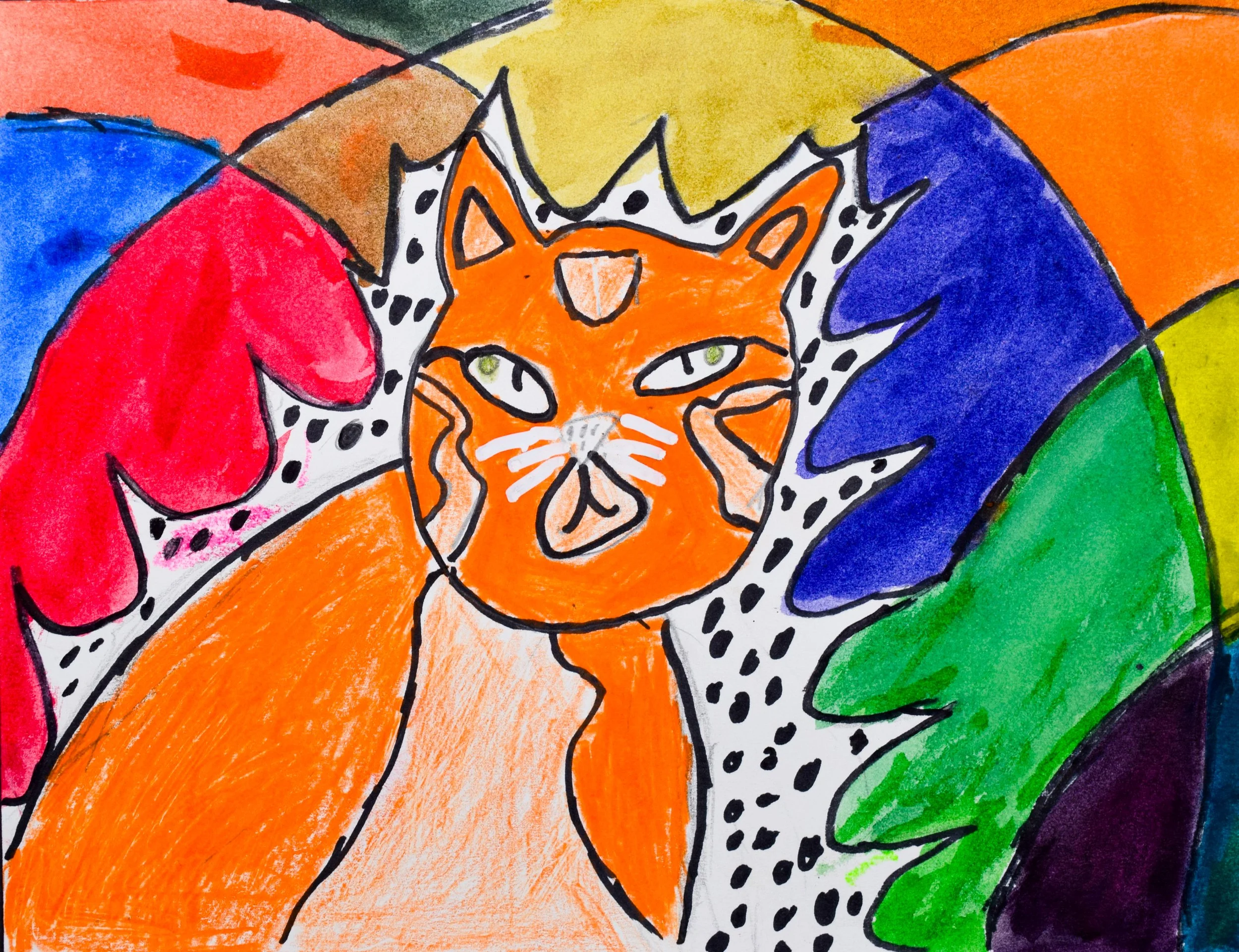 Major O Momenzadeh-2.jpg