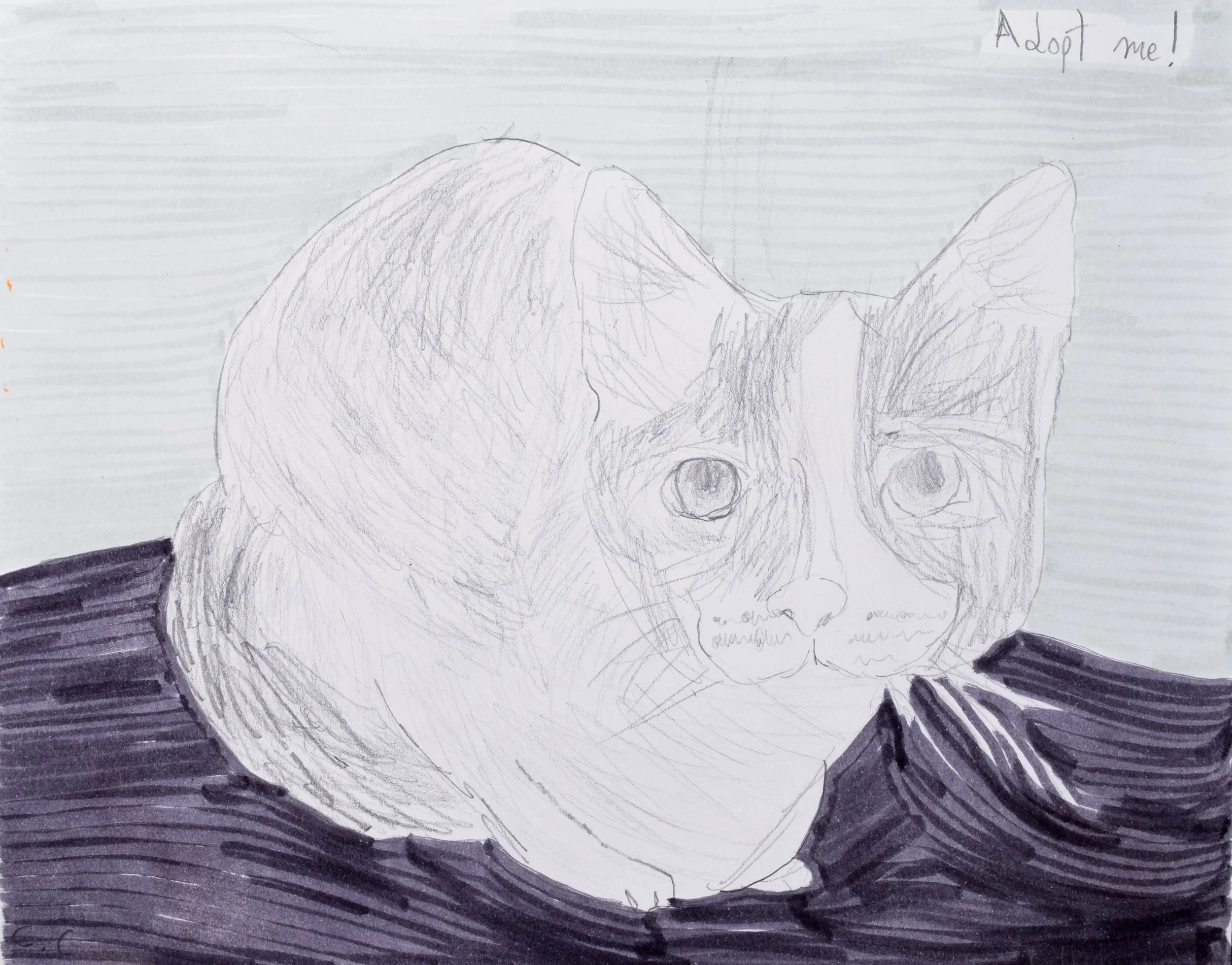 Catherine C Thompson-2.jpg