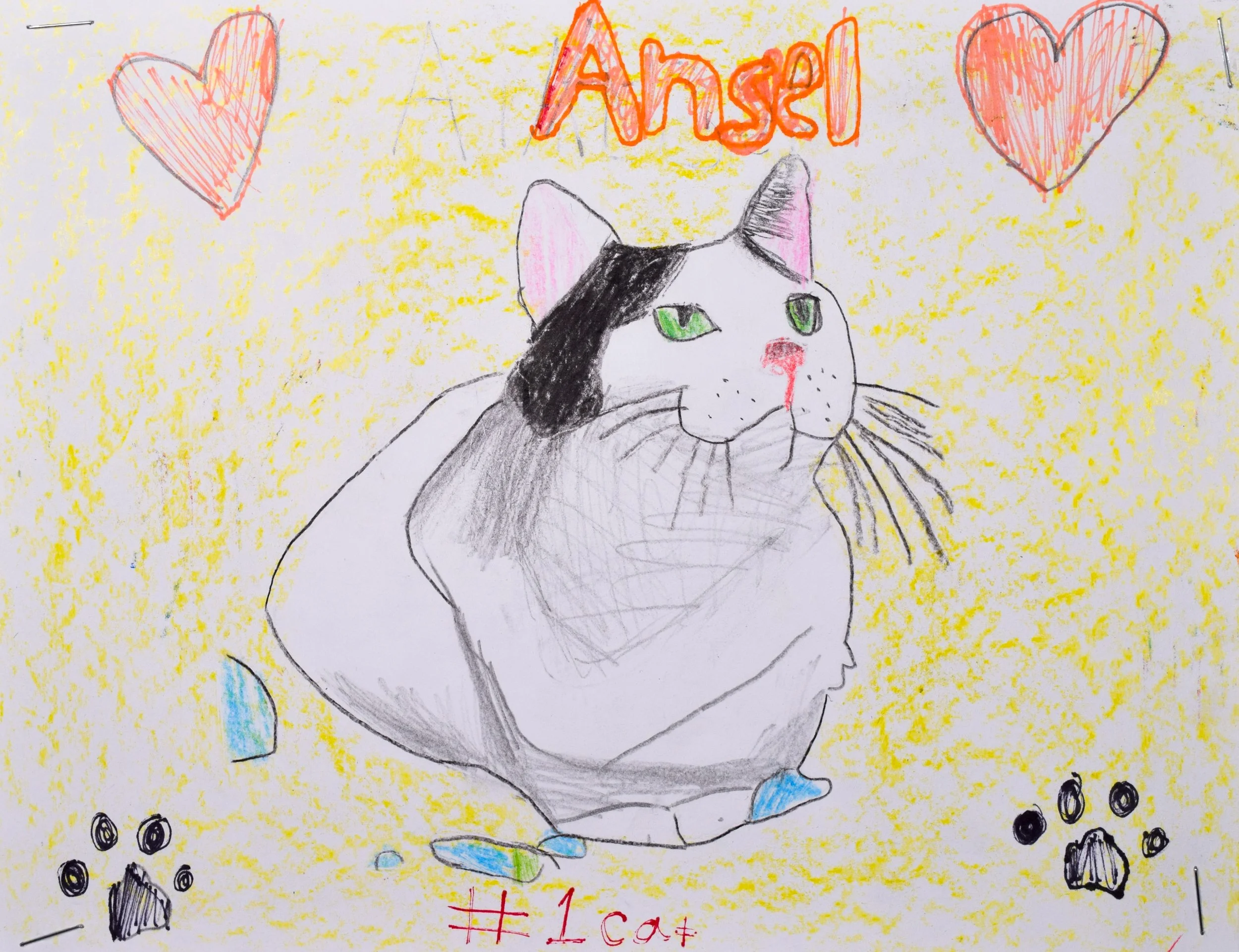 Casey V Robertson-2.jpg