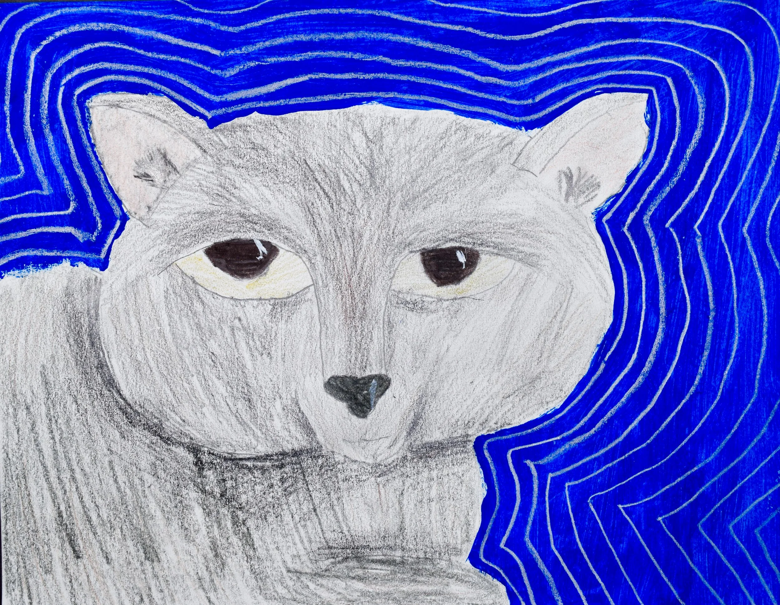 Noelle M Momenzadeh-2.jpg