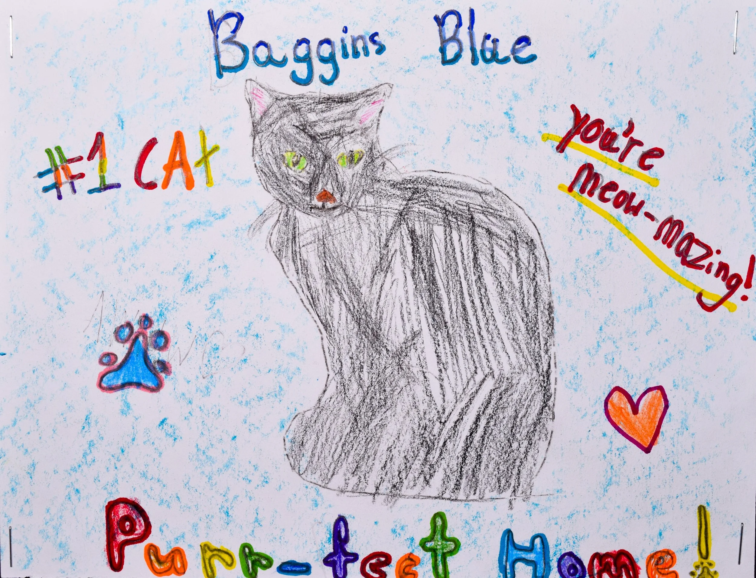 Adrianna O Robertson-2.jpg