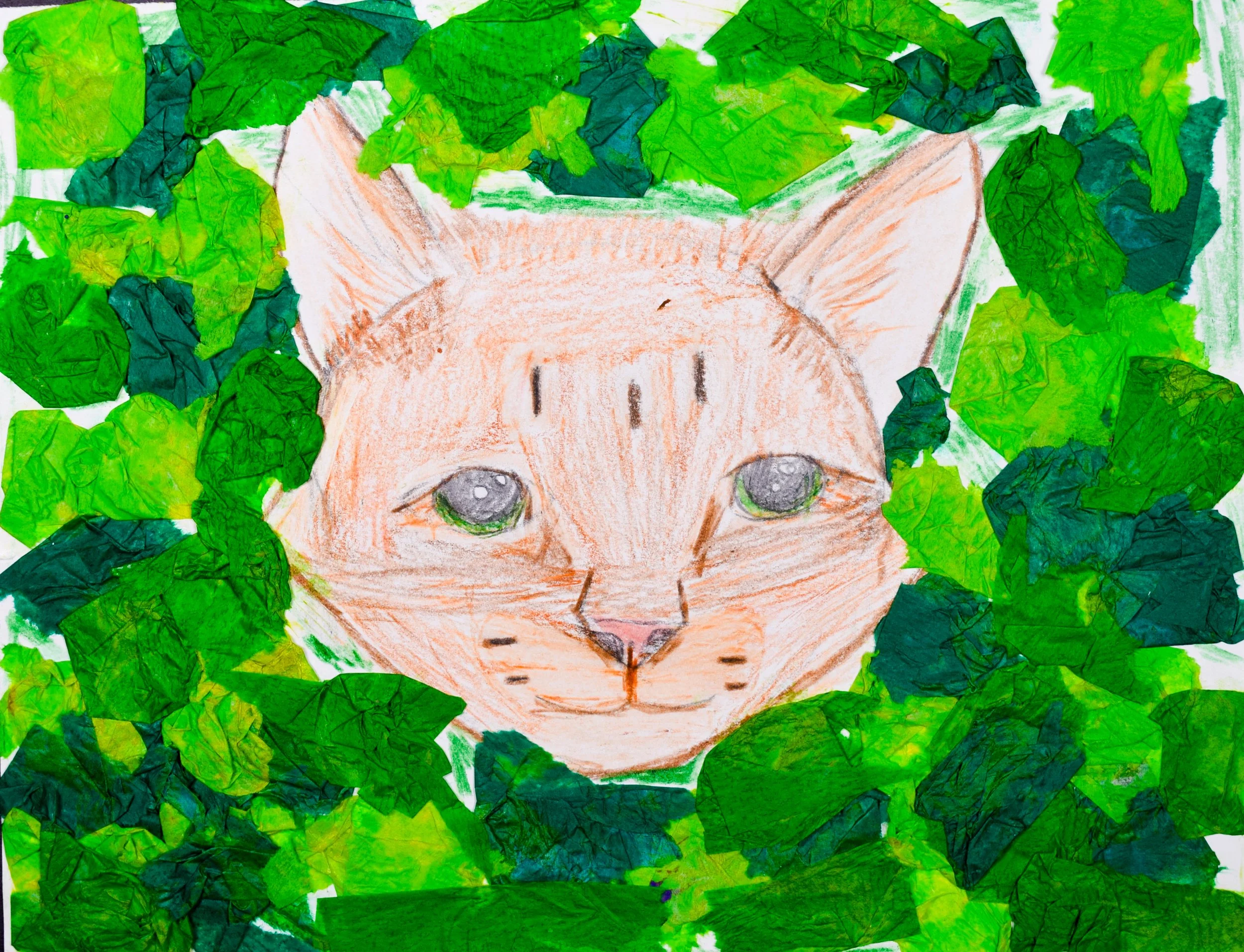 Sofia T Barton-2.jpg