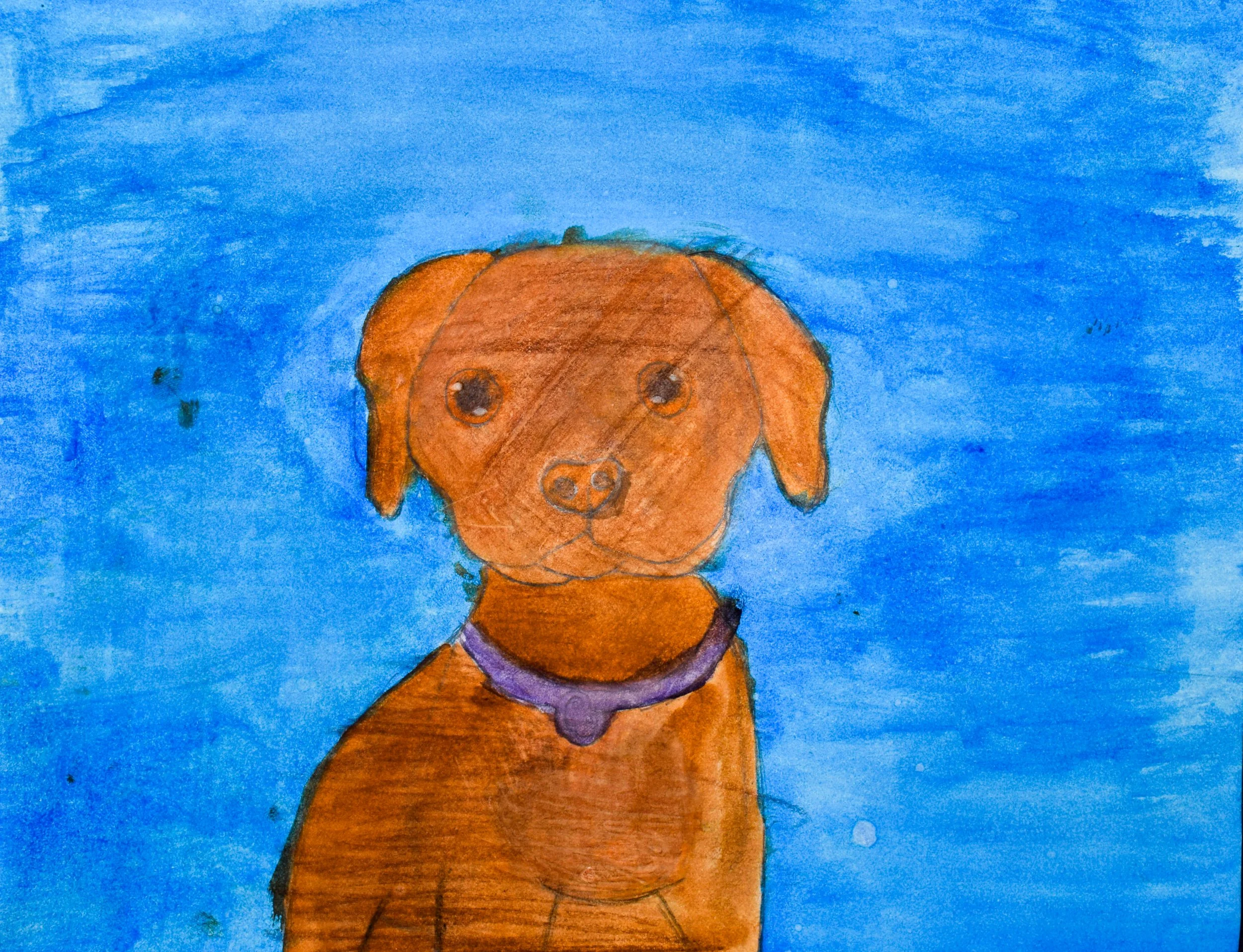 Amira K Momenzadeh-2.jpg