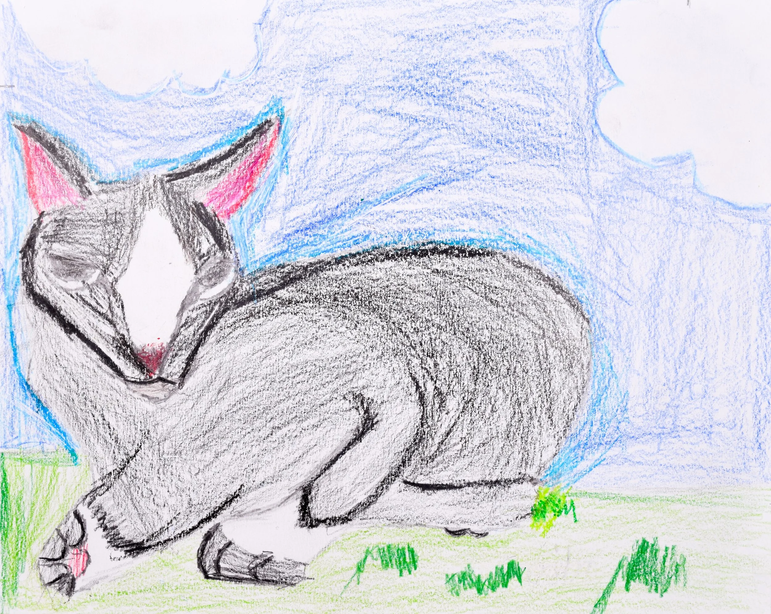 Gerilyn H Nelson-Lewis, Pfaff-2.jpg