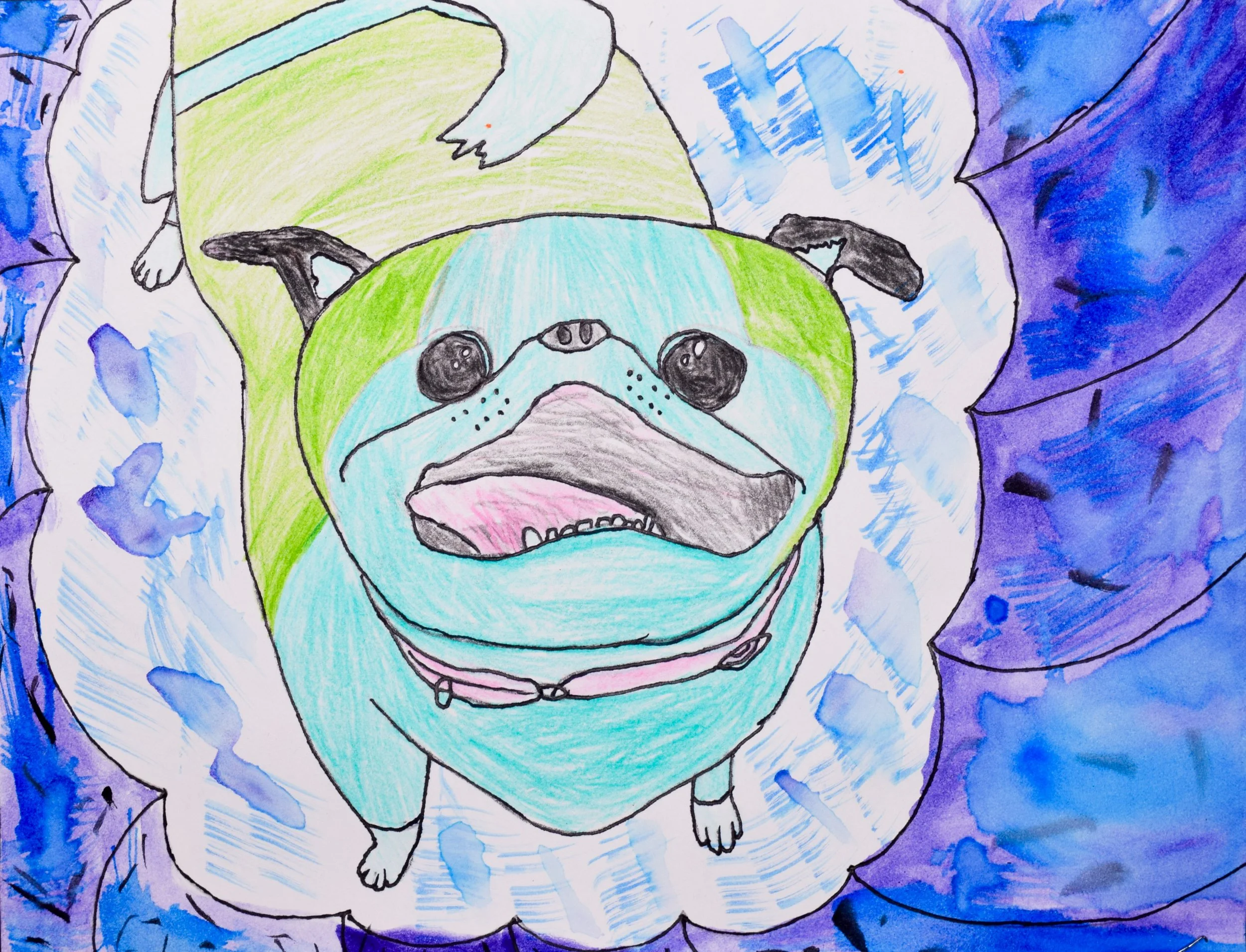 Ollie P Momenzadeh-2.jpg