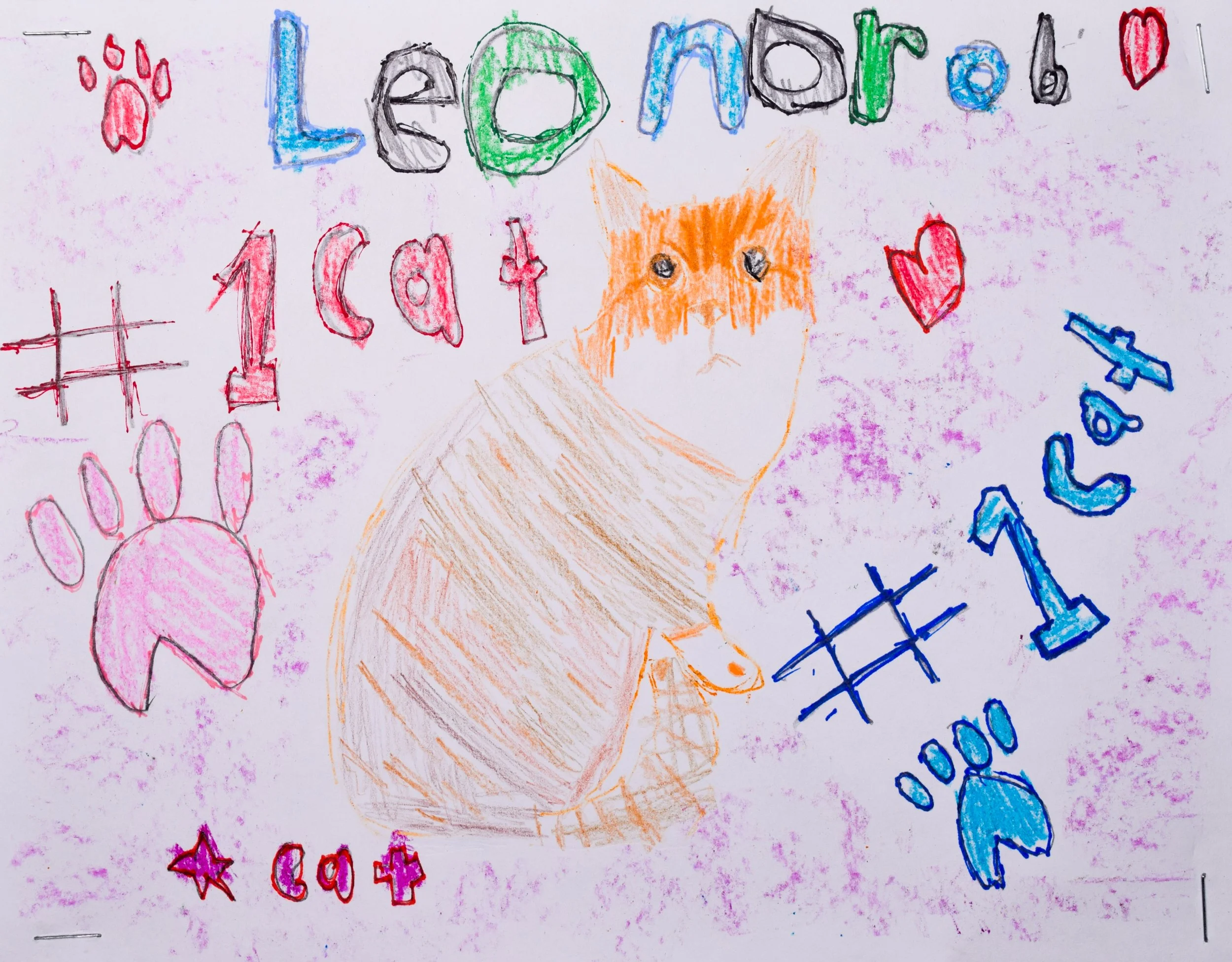 Connor H Robertson-2.jpg