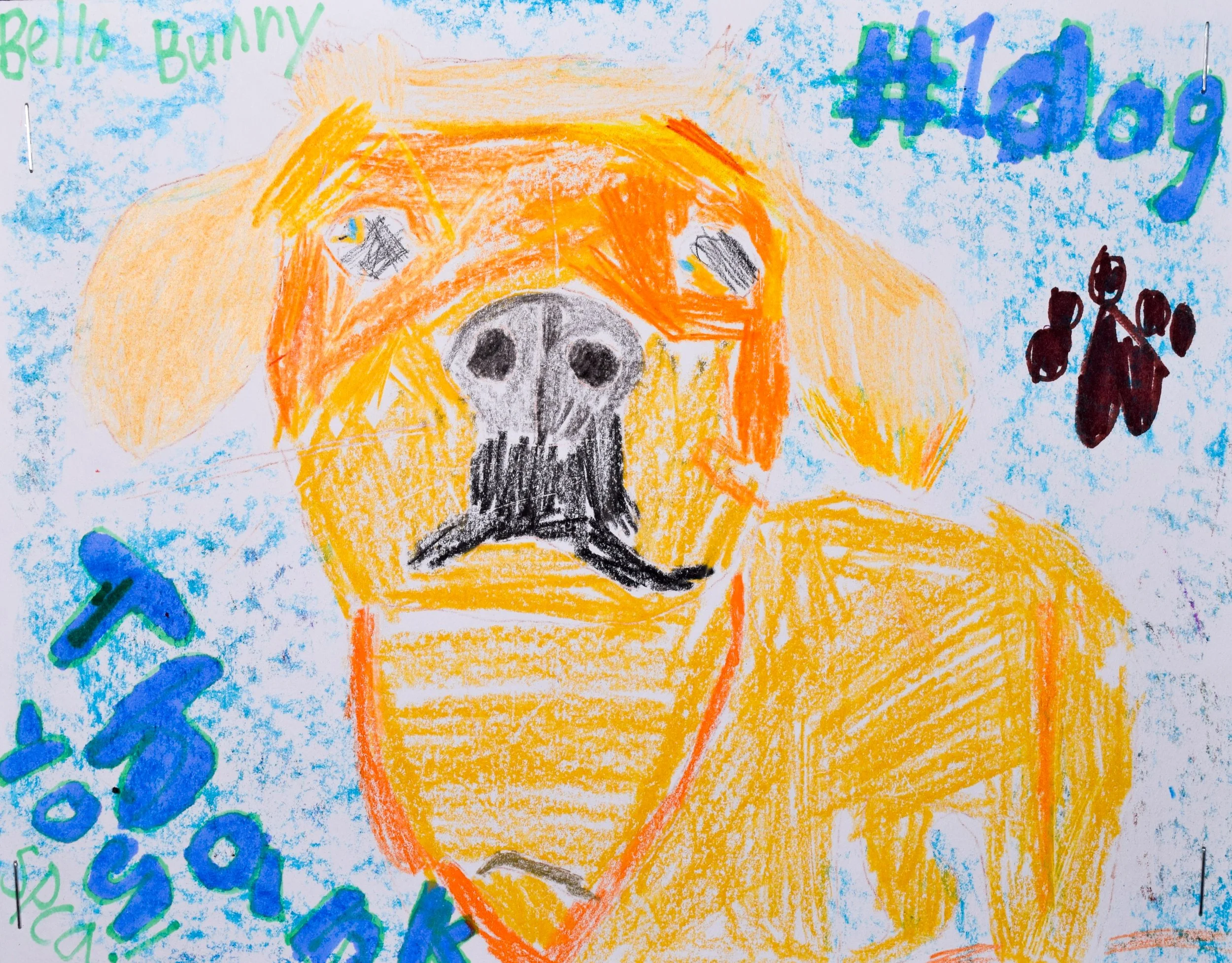 Nicholas W Robertson-2.jpg