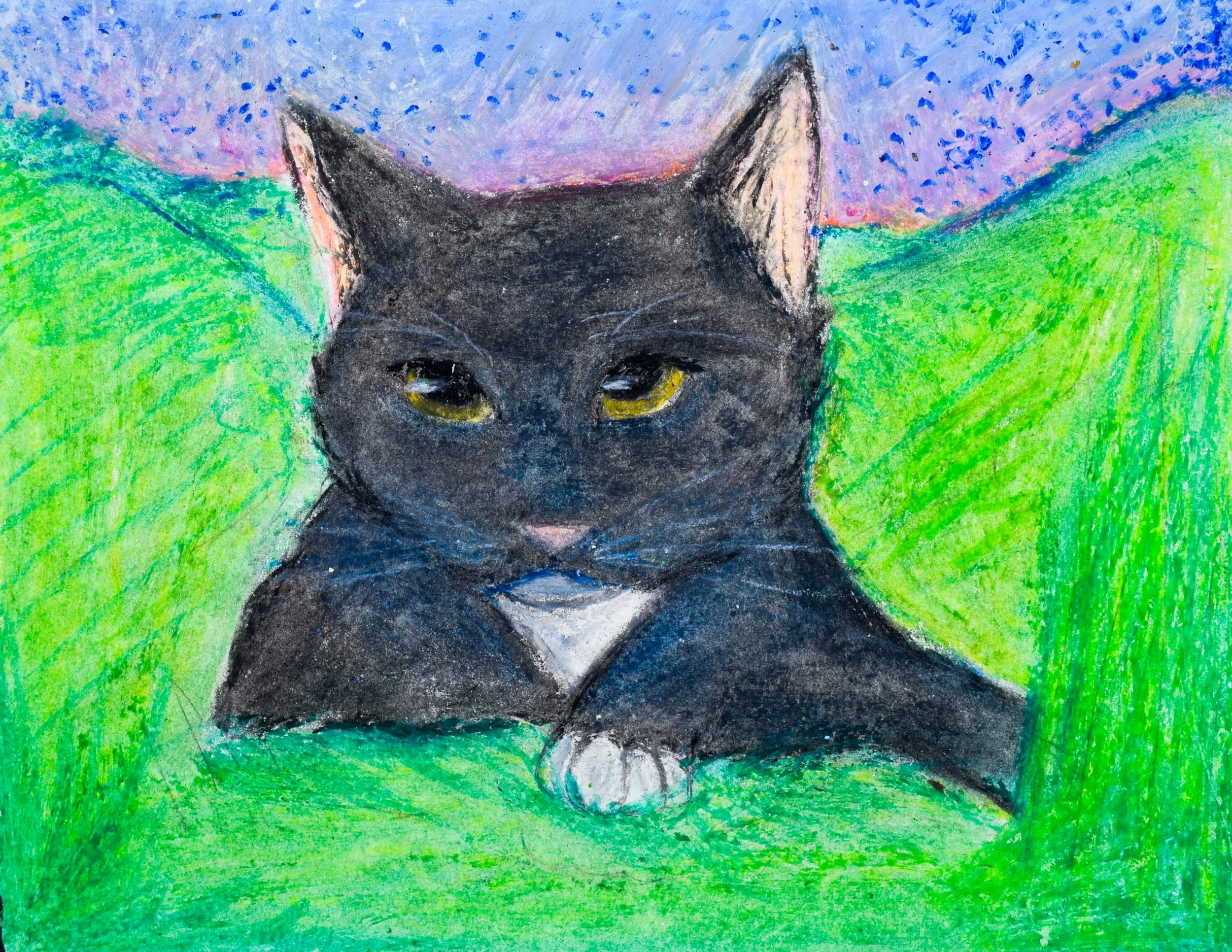 Emily L Citrano-2.jpg