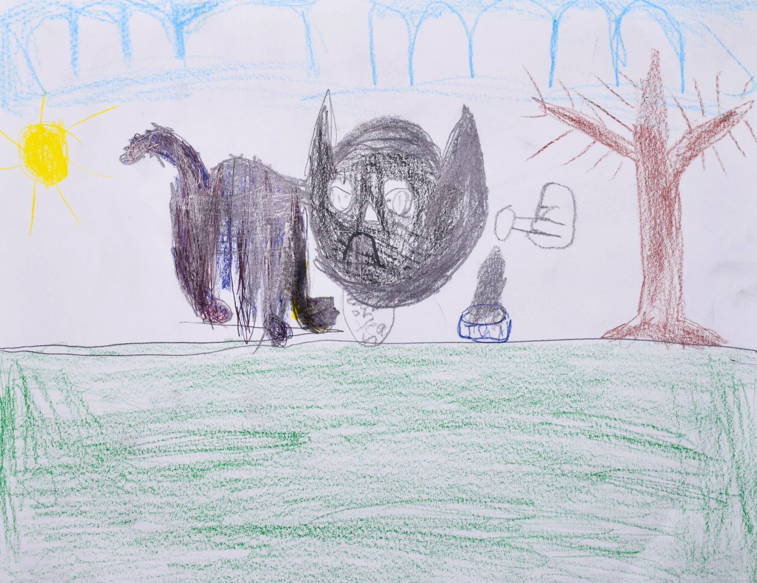 Tristan M Liberto-2.jpg