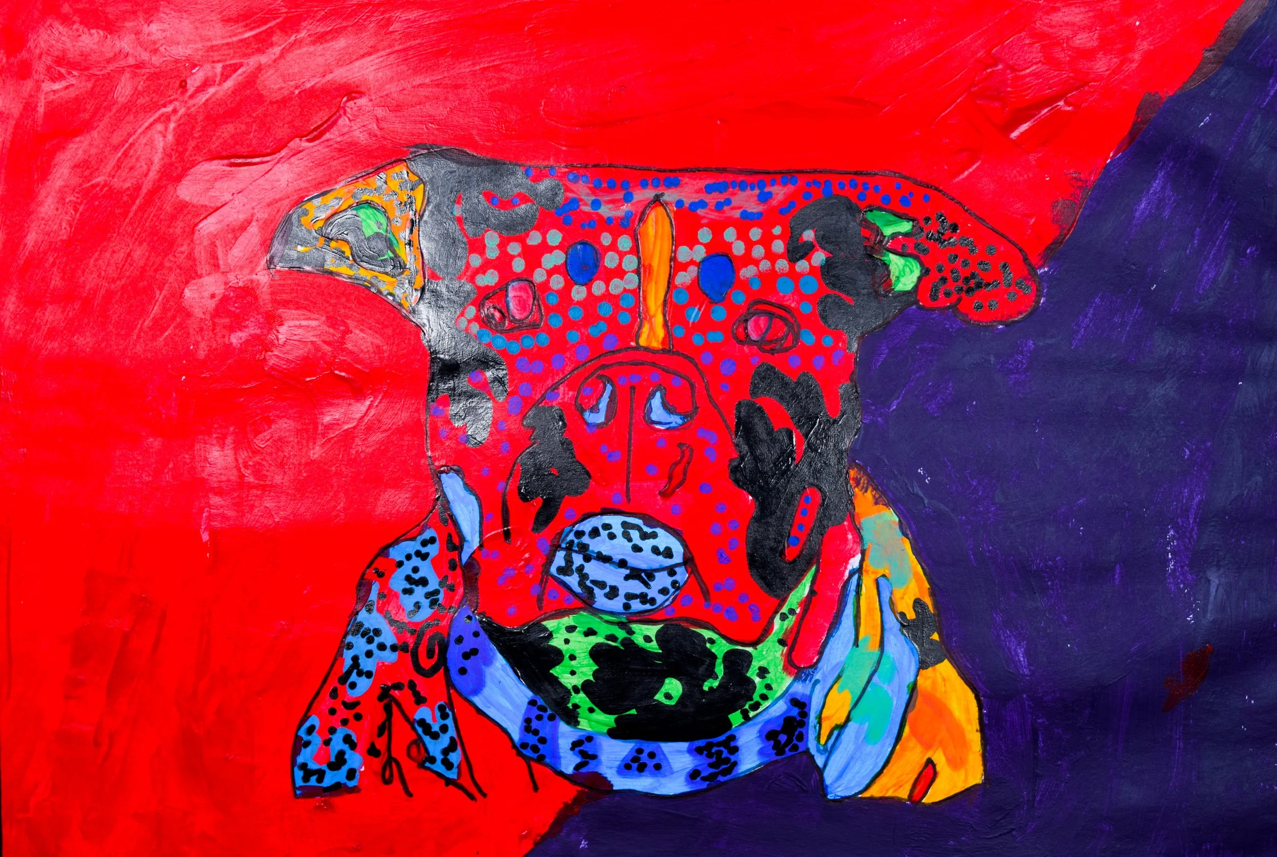 Camden D Gonnella-2.jpg