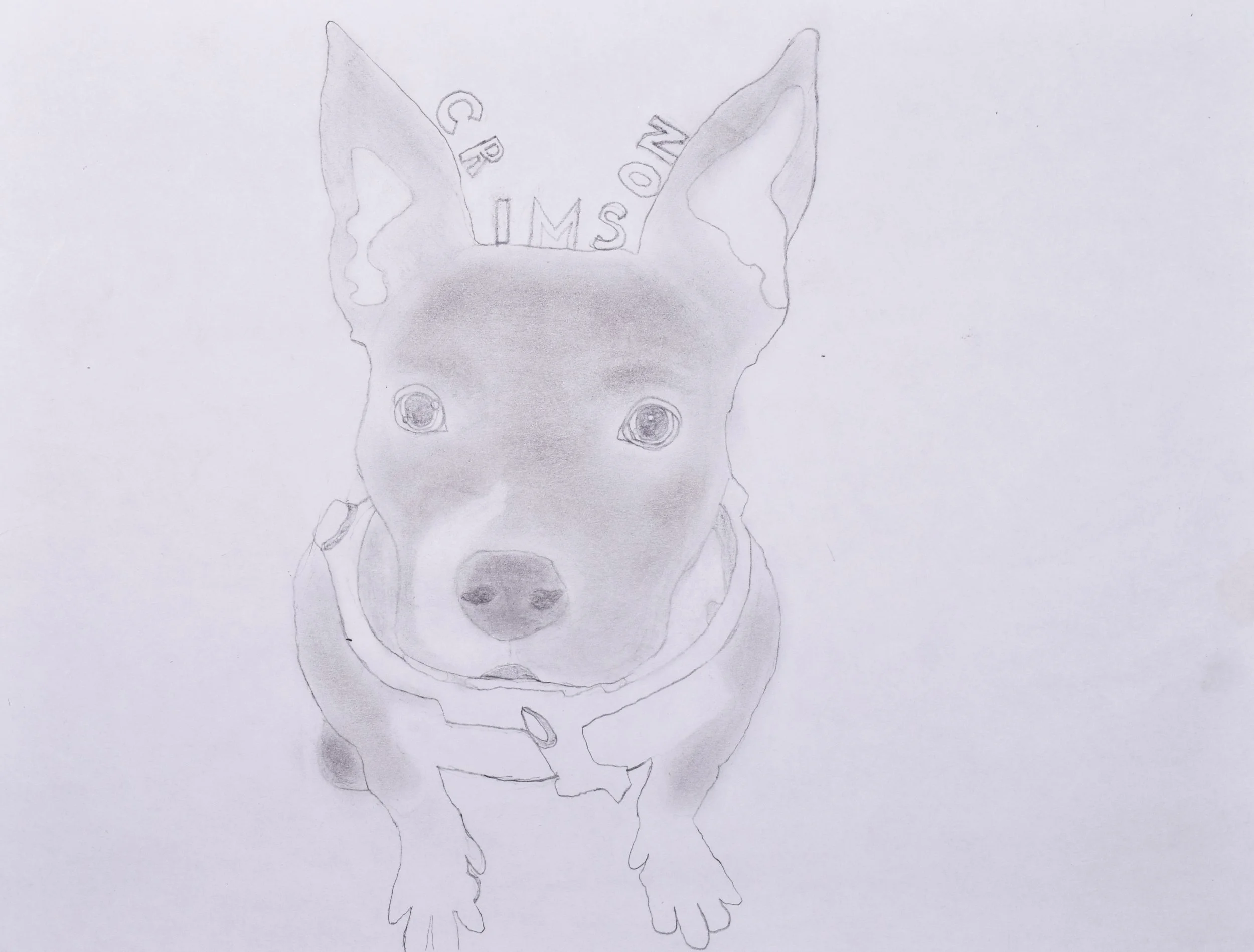 Hailey M Honaker-2.jpg