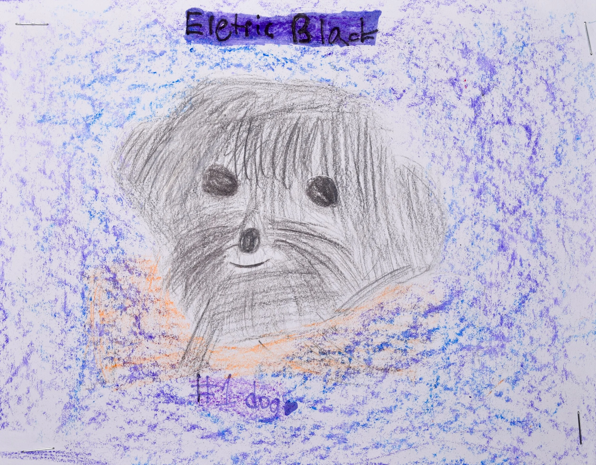 Casey K Robertson-2.jpg