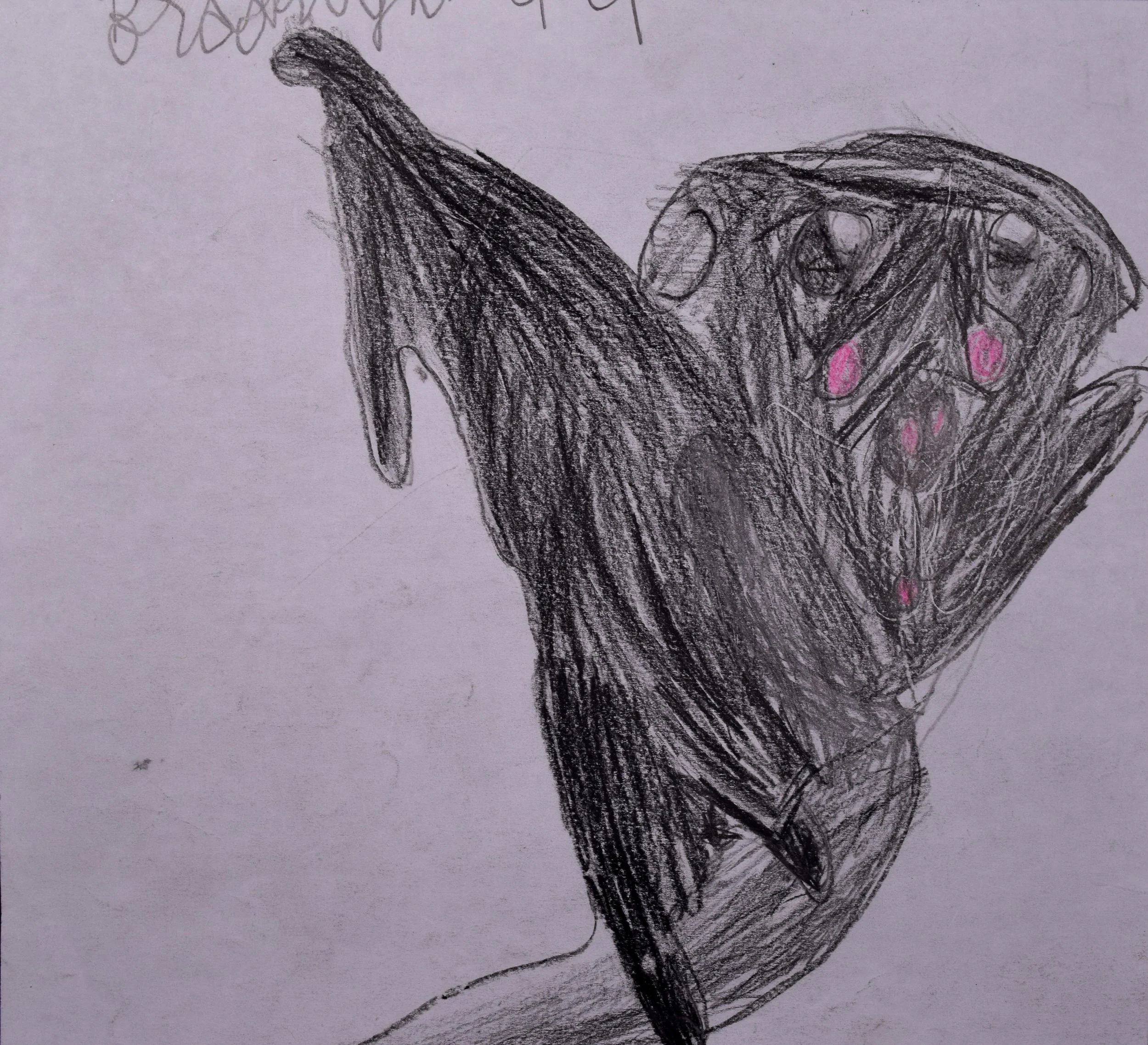 Brooklynn P Cathy-2.jpg